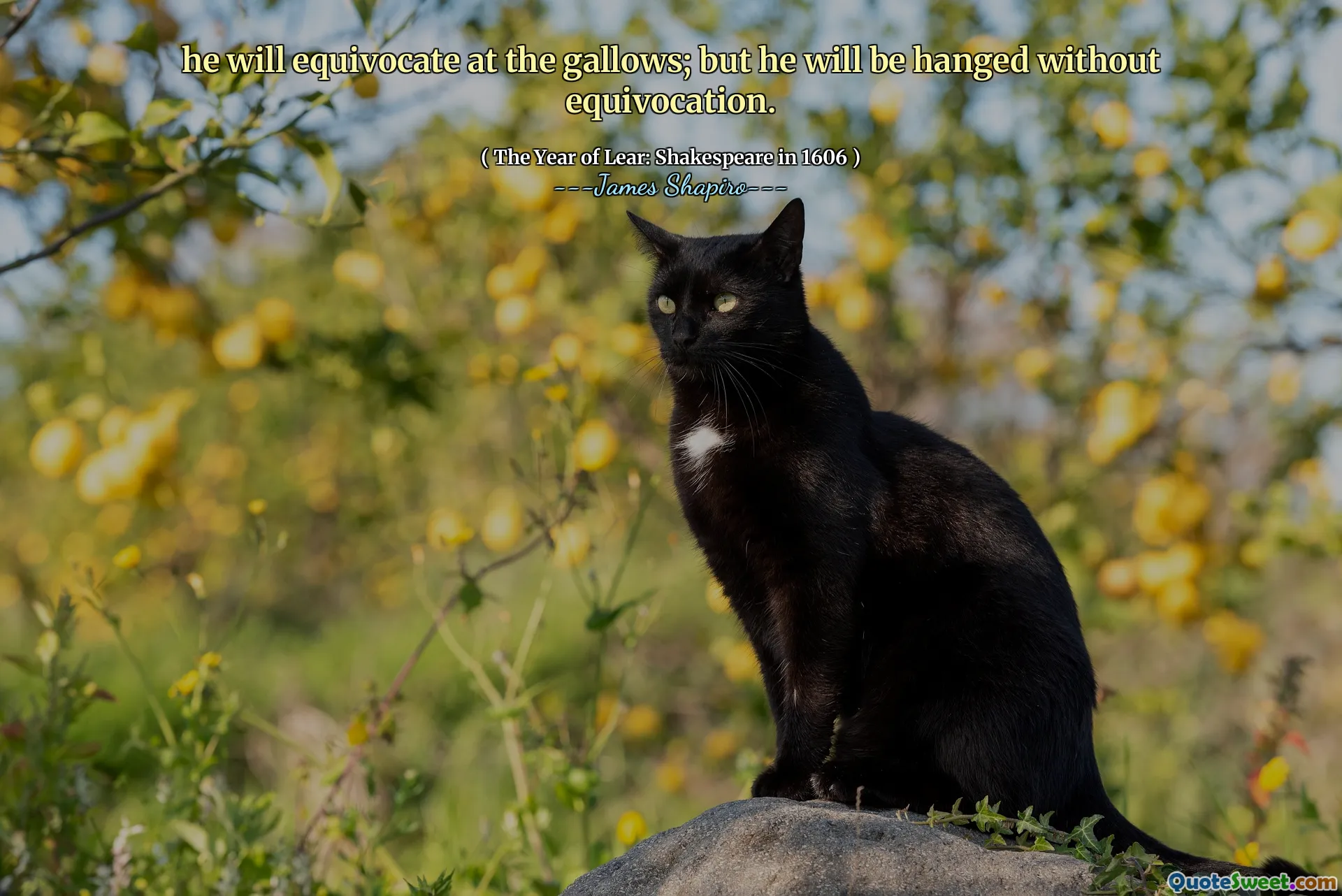 he will equivocate at the gallows; but he will be hanged without equivocation.