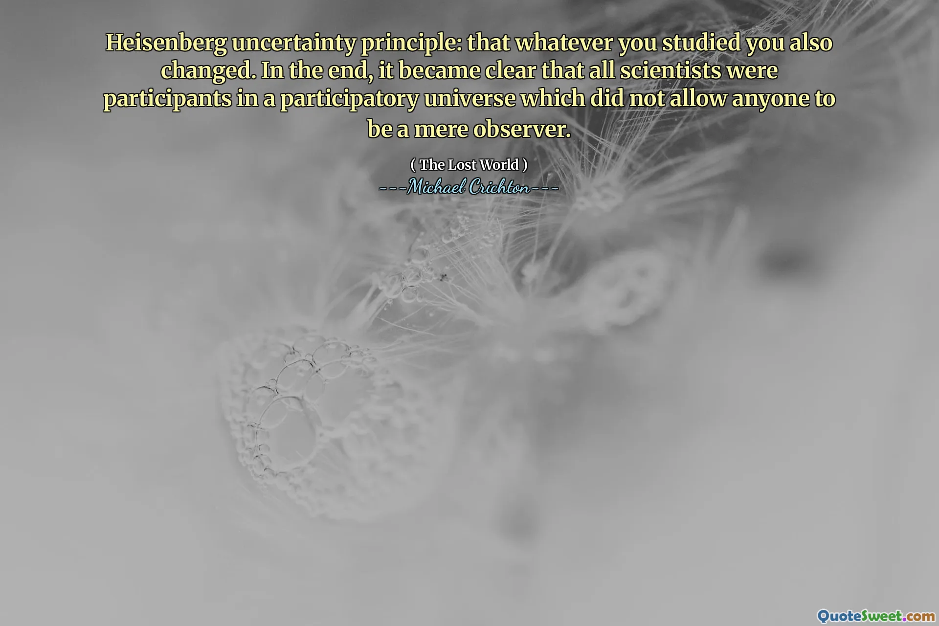 Princípio da incerteza de Heisenberg: que tudo o que você estudou também mudou. No final, ficou claro que todos os cientistas eram participantes de um universo participativo que não permitia que ninguém fosse um mero observador.