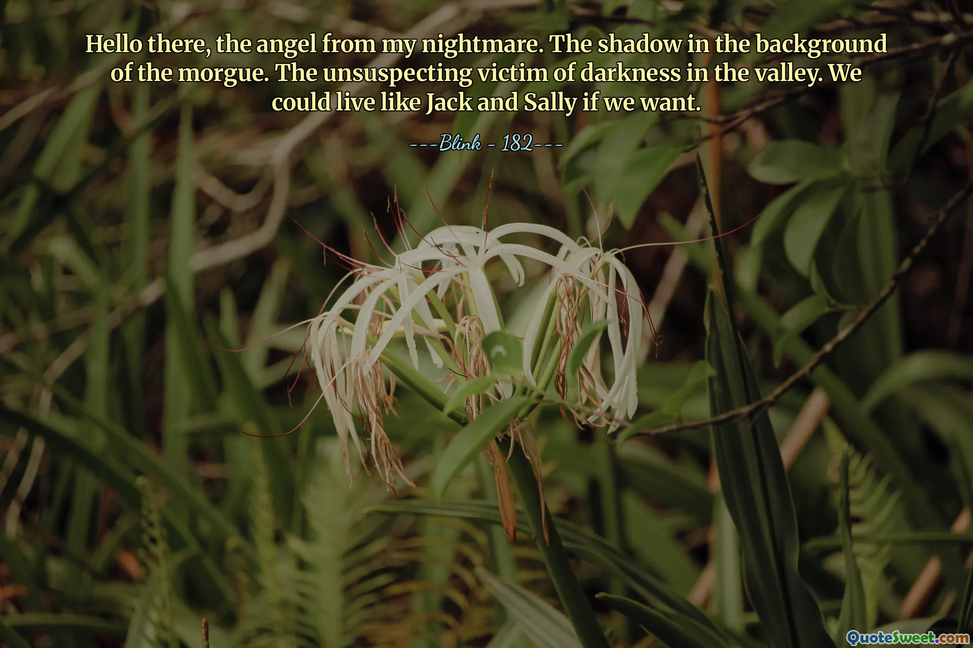 Hello there, the angel from my nightmare. The shadow in the background of the morgue. The unsuspecting victim of darkness in the valley. We could live like Jack and Sally if we want.