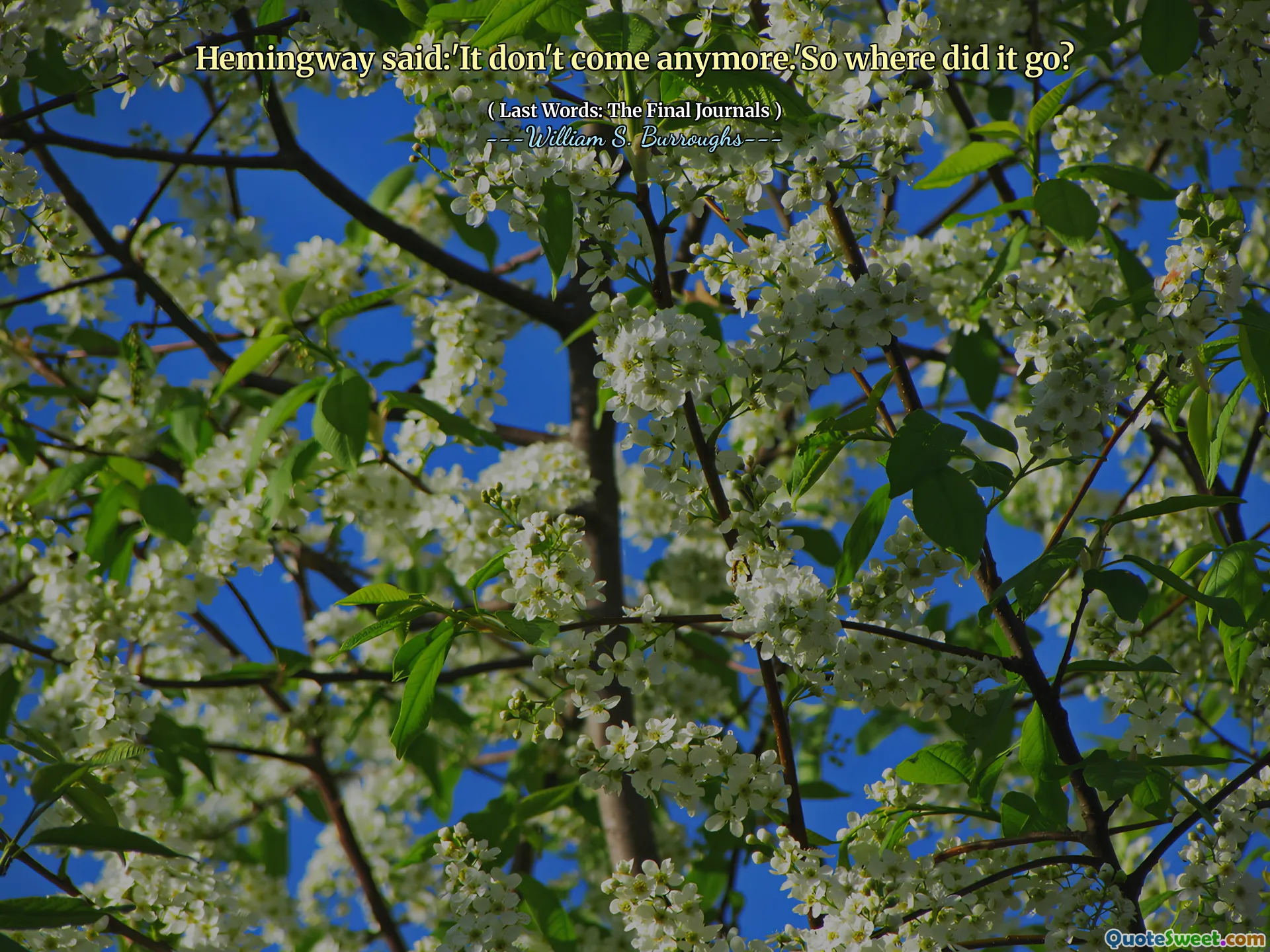 Hemingway şöyle dedi: 'Artık gelmiyor. Çok nereye gitti?