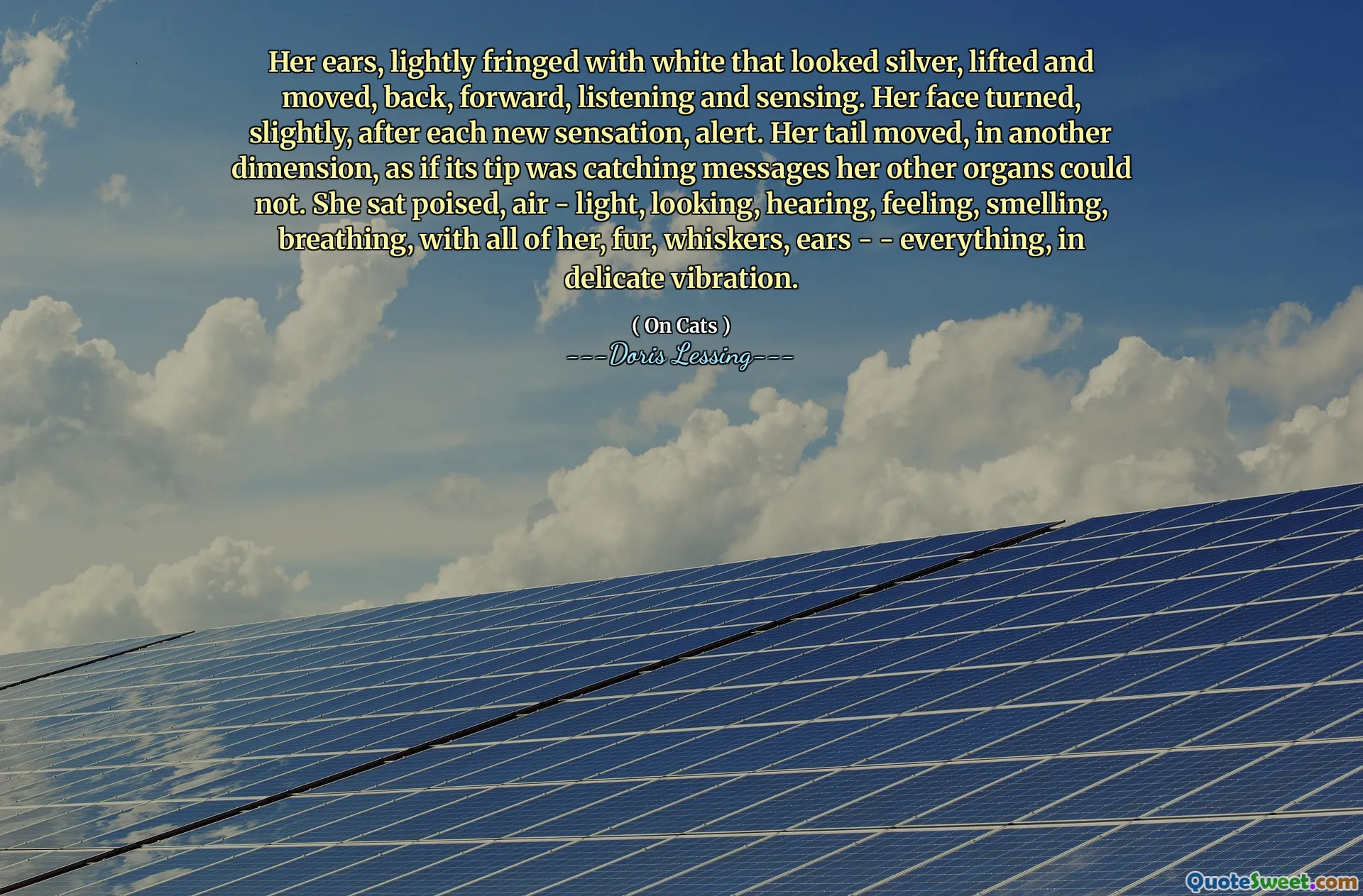Her ears, lightly fringed with white that looked silver, lifted and moved, back, forward, listening and sensing. Her face turned, slightly, after each new sensation, alert. Her tail moved, in another dimension, as if its tip was catching messages her other organs could not. She sat poised, air - light, looking, hearing, feeling, smelling, breathing, with all of her, fur, whiskers, ears - - everything, in delicate vibration.