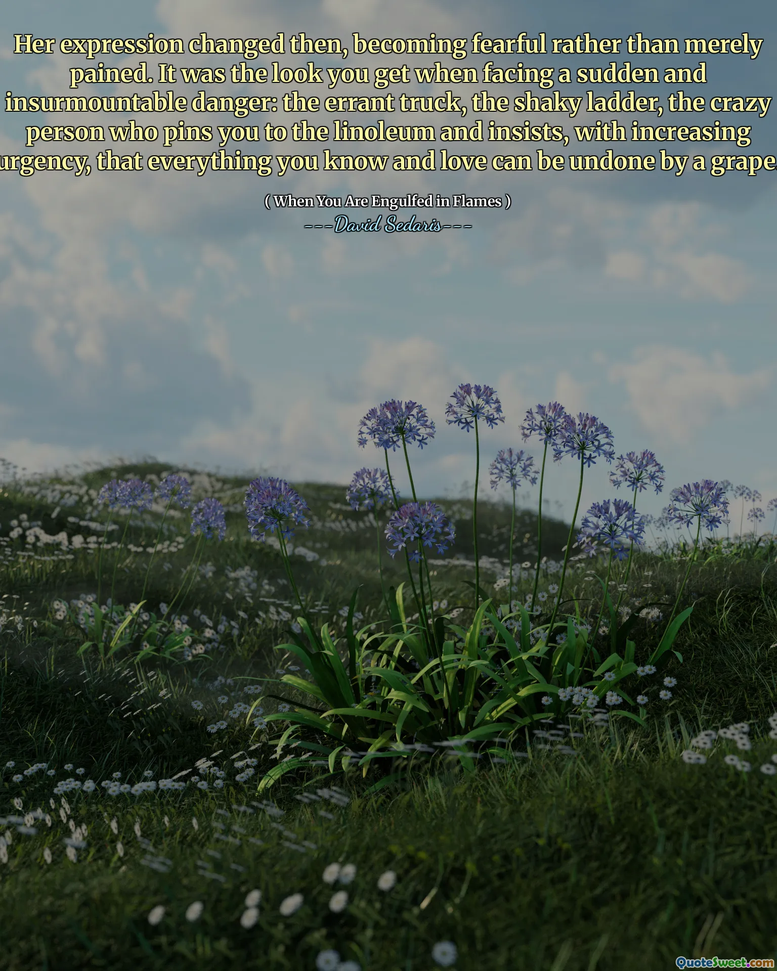 Her expression changed then, becoming fearful rather than merely pained. It was the look you get when facing a sudden and insurmountable danger: the errant truck, the shaky ladder, the crazy person who pins you to the linoleum and insists, with increasing urgency, that everything you know and love can be undone by a grape.