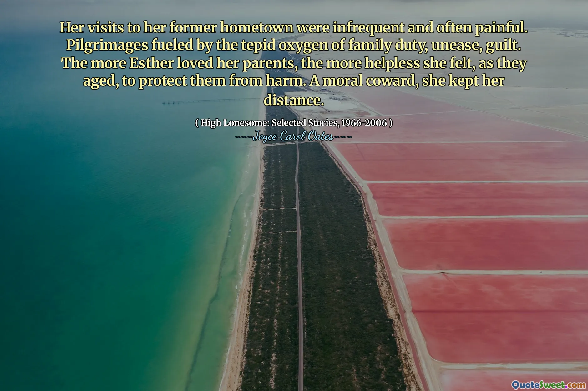 Her visits to her former hometown were infrequent and often painful. Pilgrimages fueled by the tepid oxygen of family duty, unease, guilt. The more Esther loved her parents, the more helpless she felt, as they aged, to protect them from harm. A moral coward, she kept her distance.