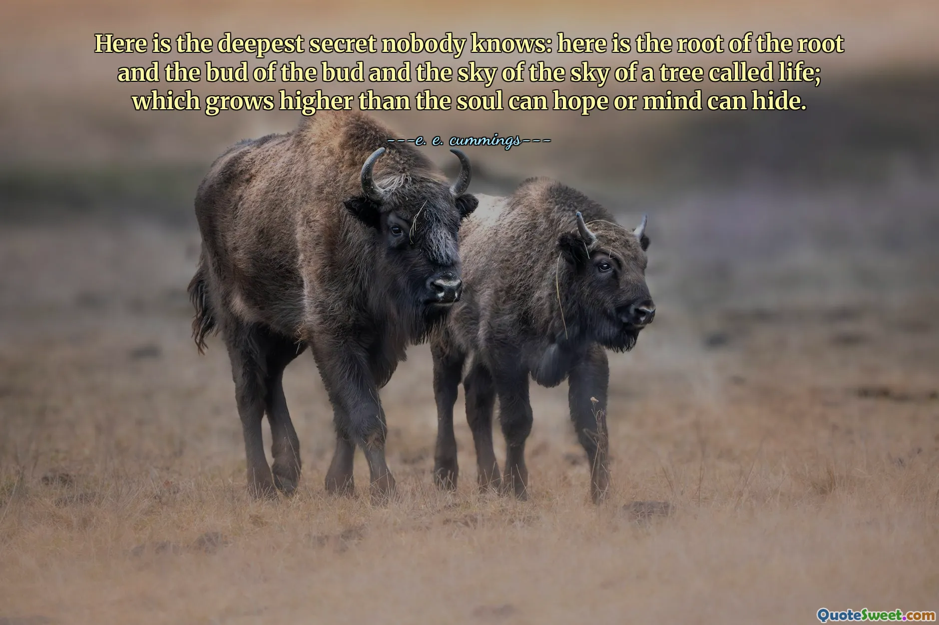 Here is the deepest secret nobody knows: here is the root of the root and the bud of the bud and the sky of the sky of a tree called life; which grows higher than the soul can hope or mind can hide.