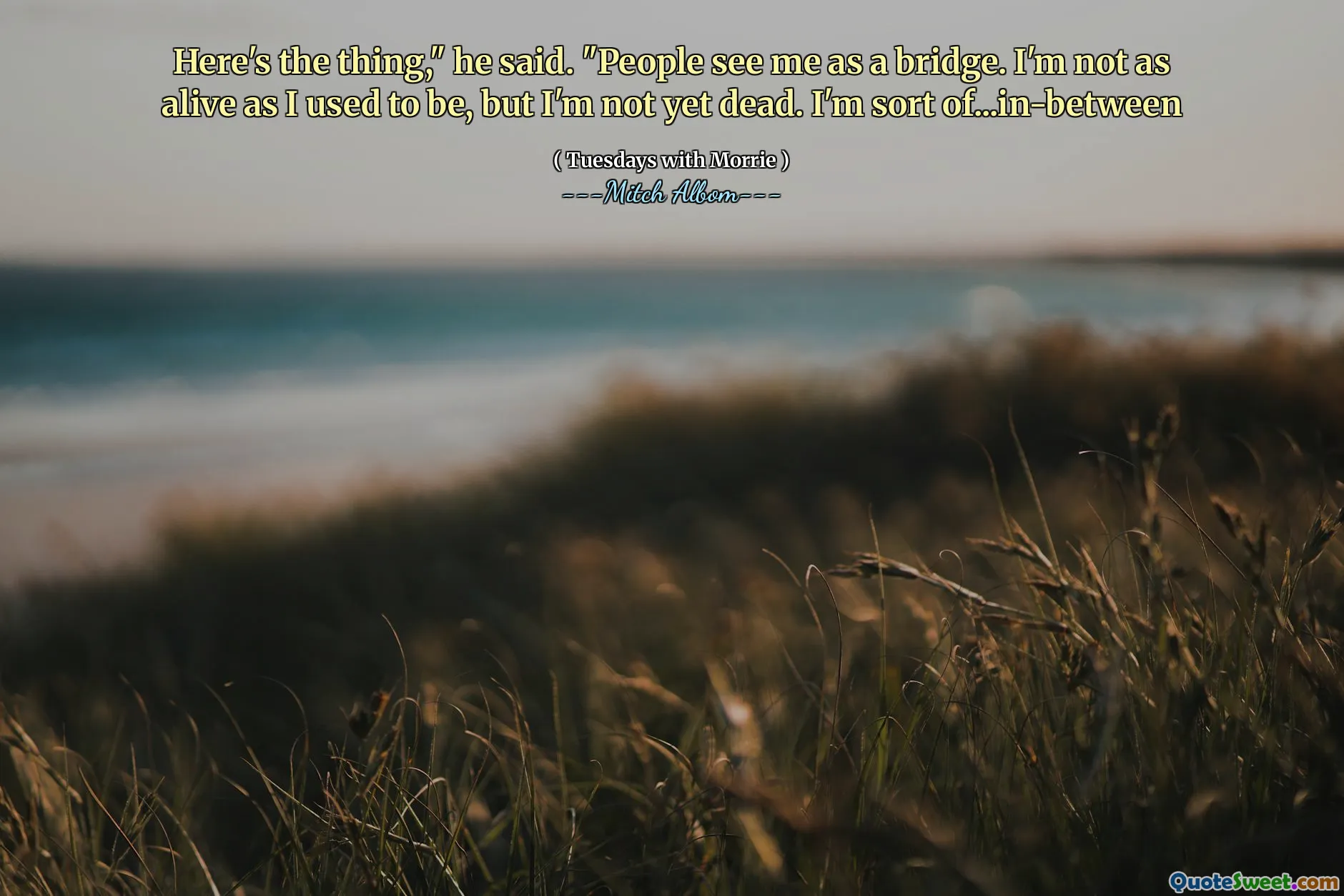 Iată chestia ", a spus el." Oamenii mă văd ca pe un pod. Nu sunt la fel de viu cum eram, dar încă nu sunt mort. Sunt un fel de ...