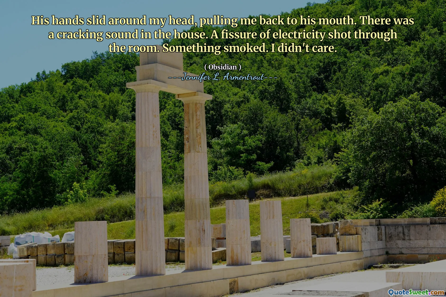 His hands slid around my head, pulling me back to his mouth. There was a cracking sound in the house. A fissure of electricity shot through the room. Something smoked. I didn't care.