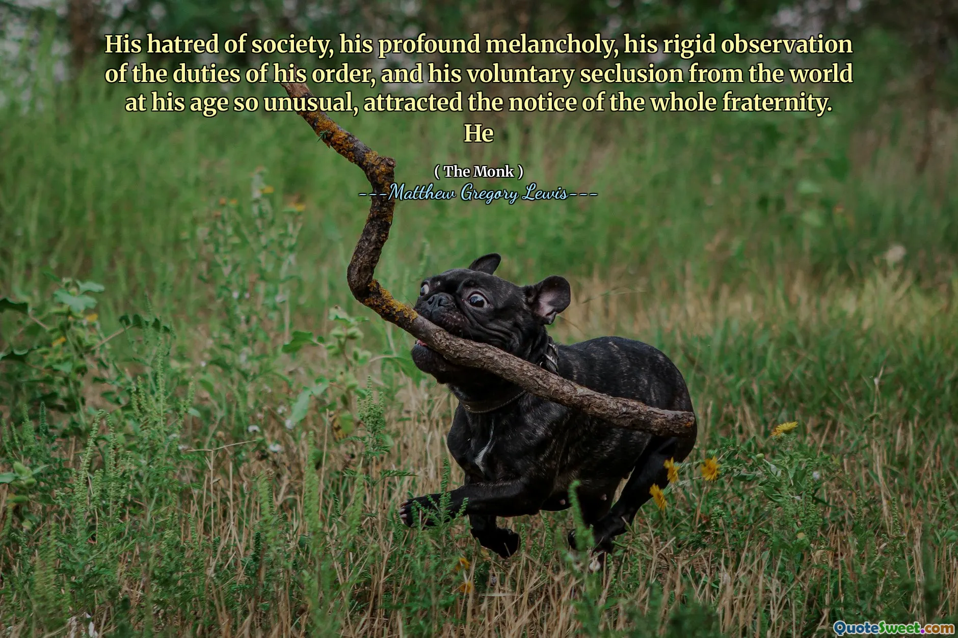 His hatred of society, his profound melancholy, his rigid observation of the duties of his order, and his voluntary seclusion from the world at his age so unusual, attracted the notice of the whole fraternity. He