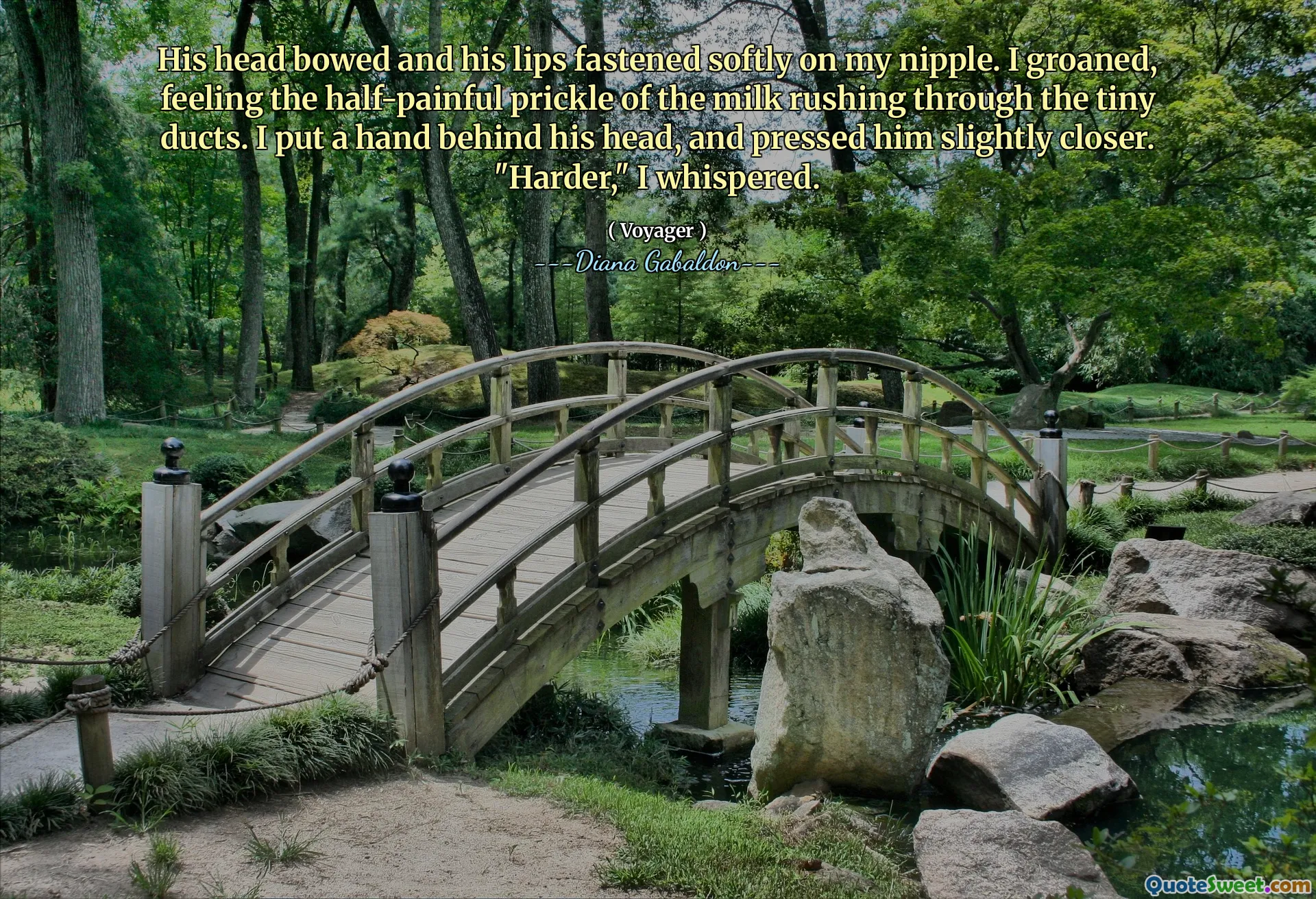 His head bowed and his lips fastened softly on my nipple. I groaned, feeling the half-painful prickle of the milk rushing through the tiny ducts. I put a hand behind his head, and pressed him slightly closer. "Harder," I whispered.