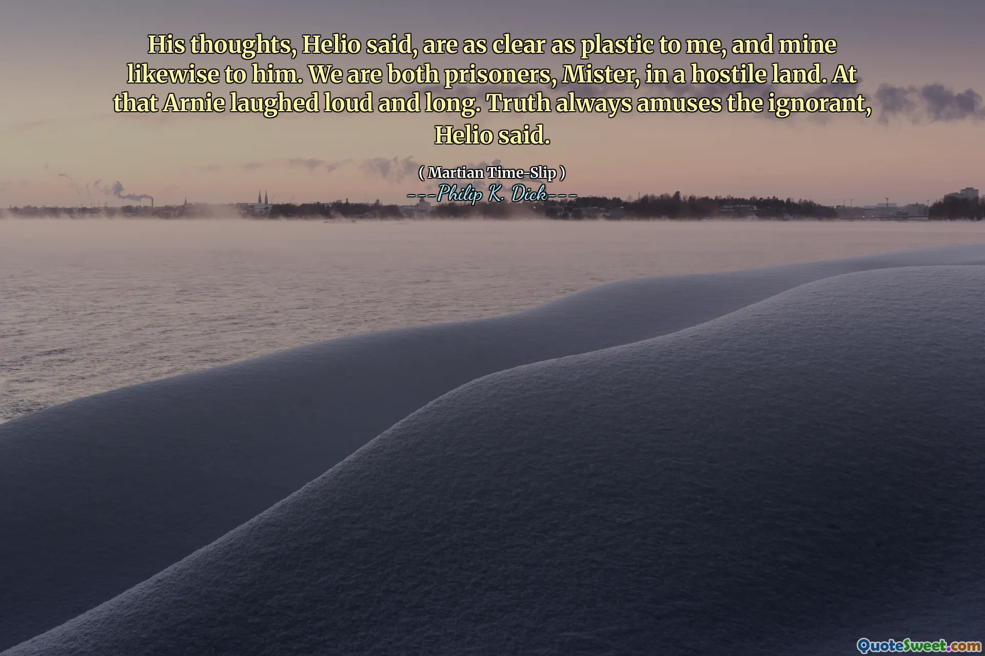 Helio说，他的想法对我来说和塑料一样清晰，对他也是我的。我们都是敌对土地上的囚犯，先生。那个阿尼大声笑了起来。赫利奥说，真理总是很有趣。