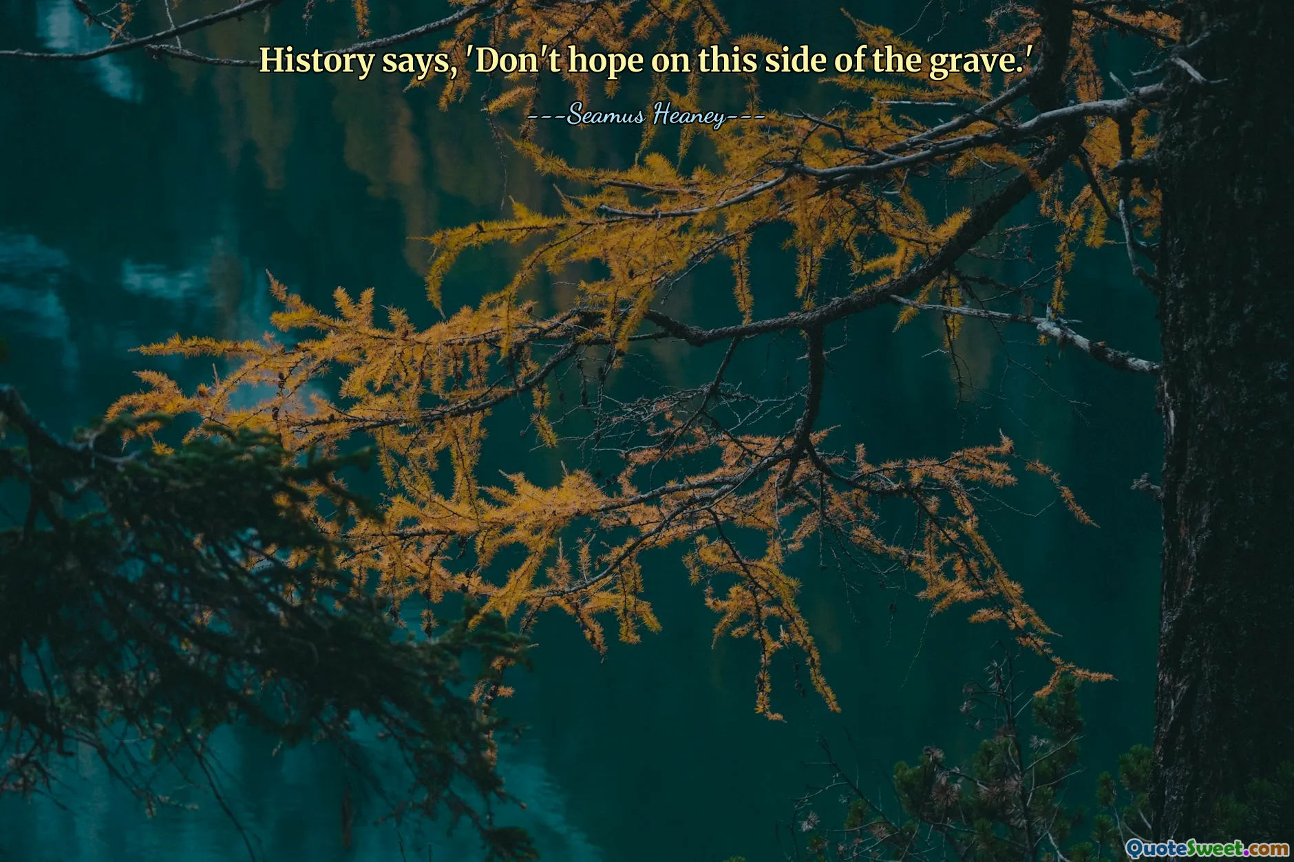 History says, 'Don't hope on this side of the grave.'