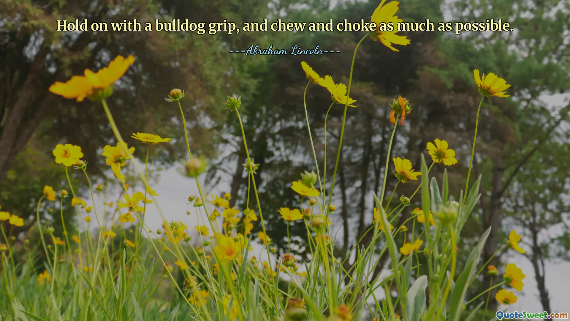 Hold on with a bulldog grip, and chew and choke as much as possible.