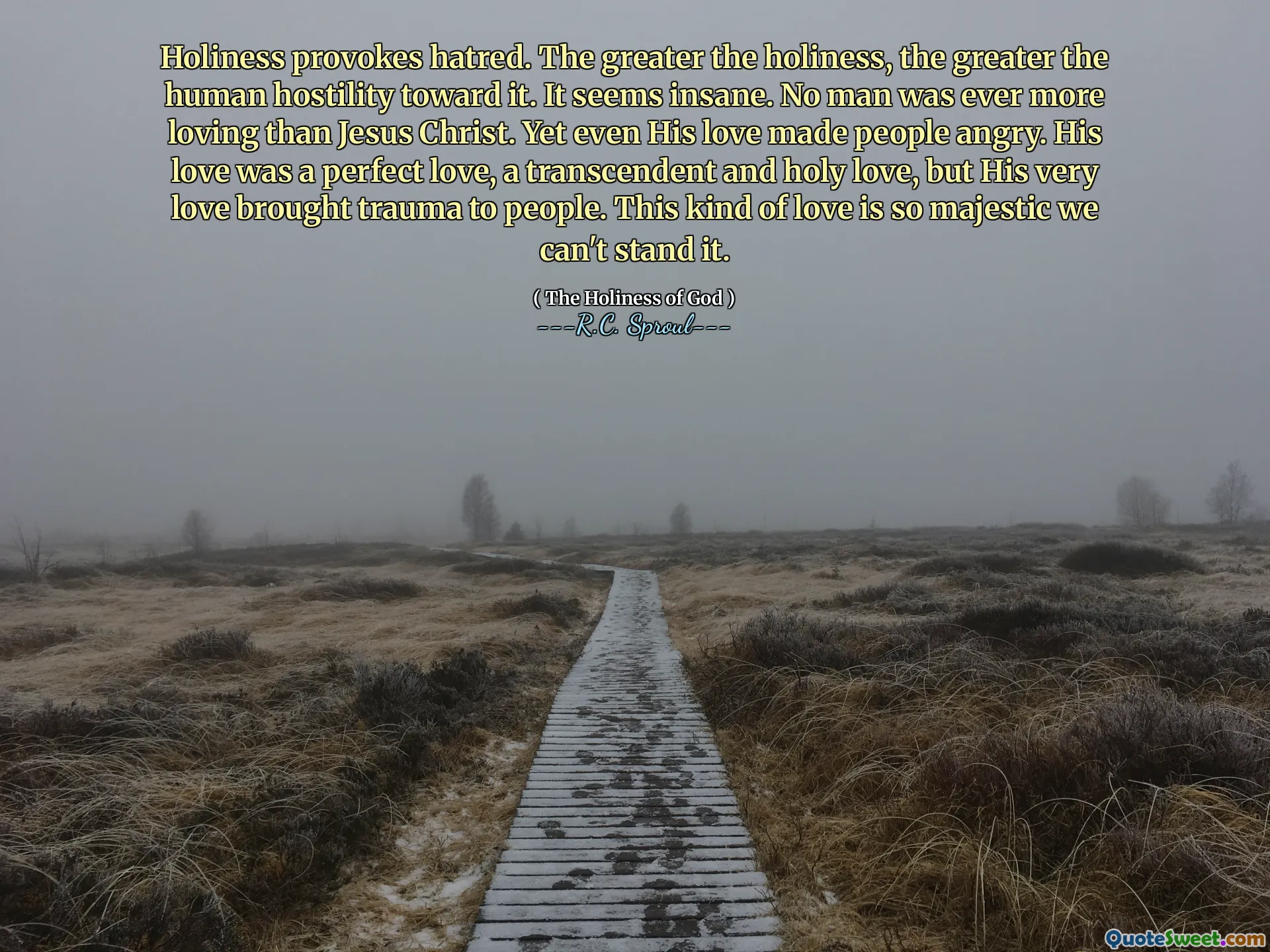 Holiness provokes hatred. The greater the holiness, the greater the human hostility toward it. It seems insane. No man was ever more loving than Jesus Christ. Yet even His love made people angry. His love was a perfect love, a transcendent and holy love, but His very love brought trauma to people. This kind of love is so majestic we can't stand it.