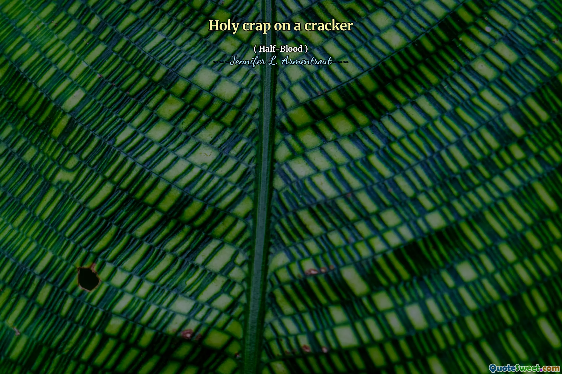 Holy crap on a cracker