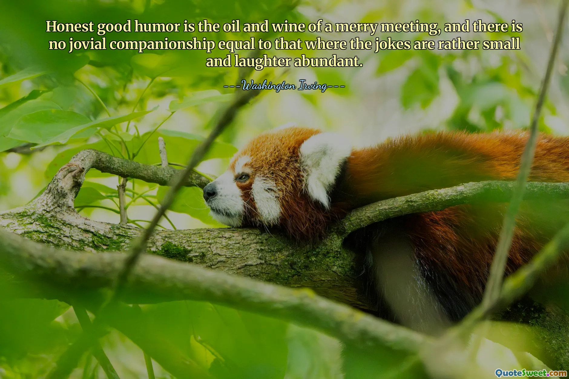 Honest good humor is the oil and wine of a merry meeting, and there is no jovial companionship equal to that where the jokes are rather small and laughter abundant.