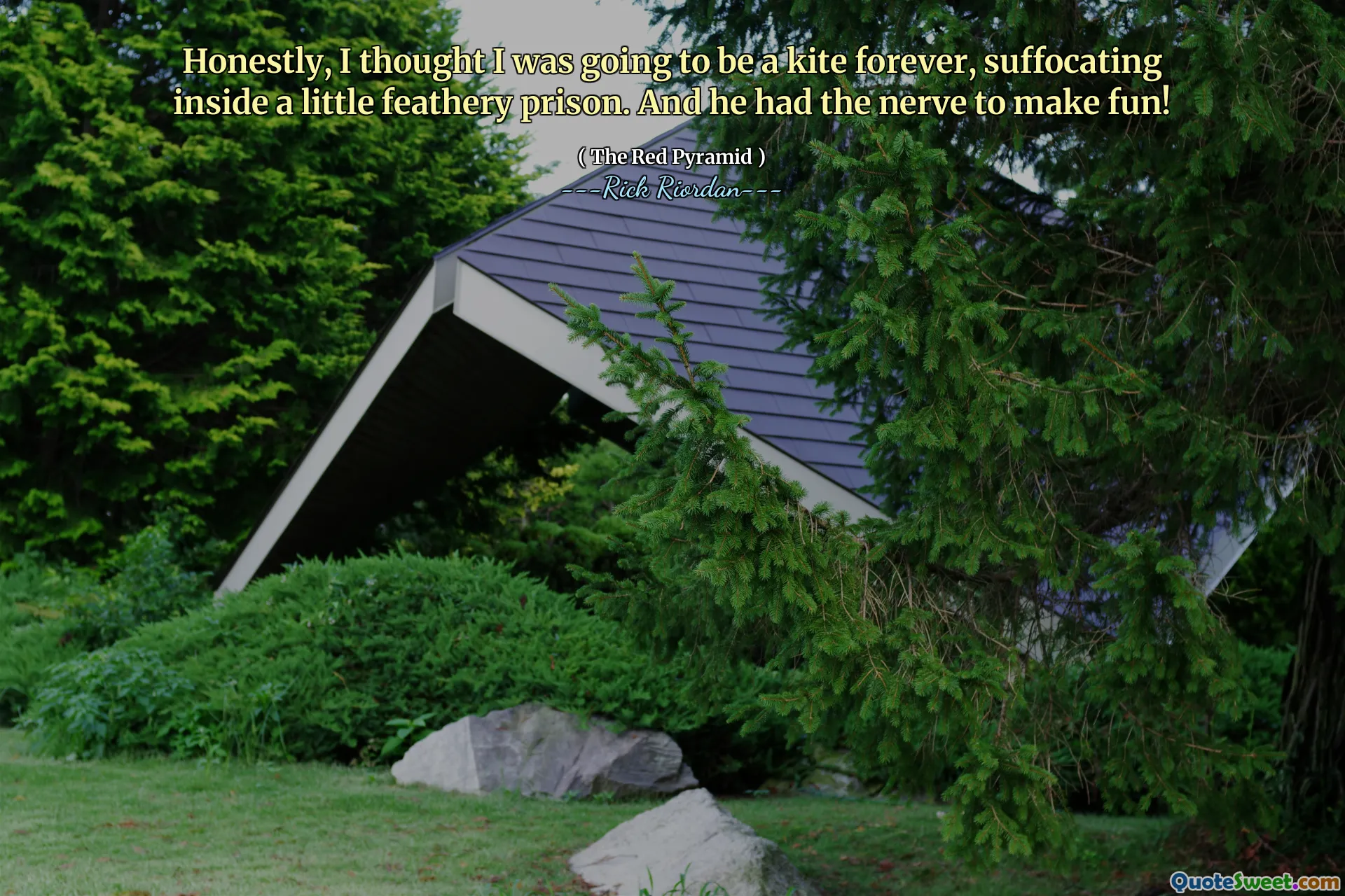 Honestly, I thought I was going to be a kite forever, suffocating inside a little feathery prison. And he had the nerve to make fun!