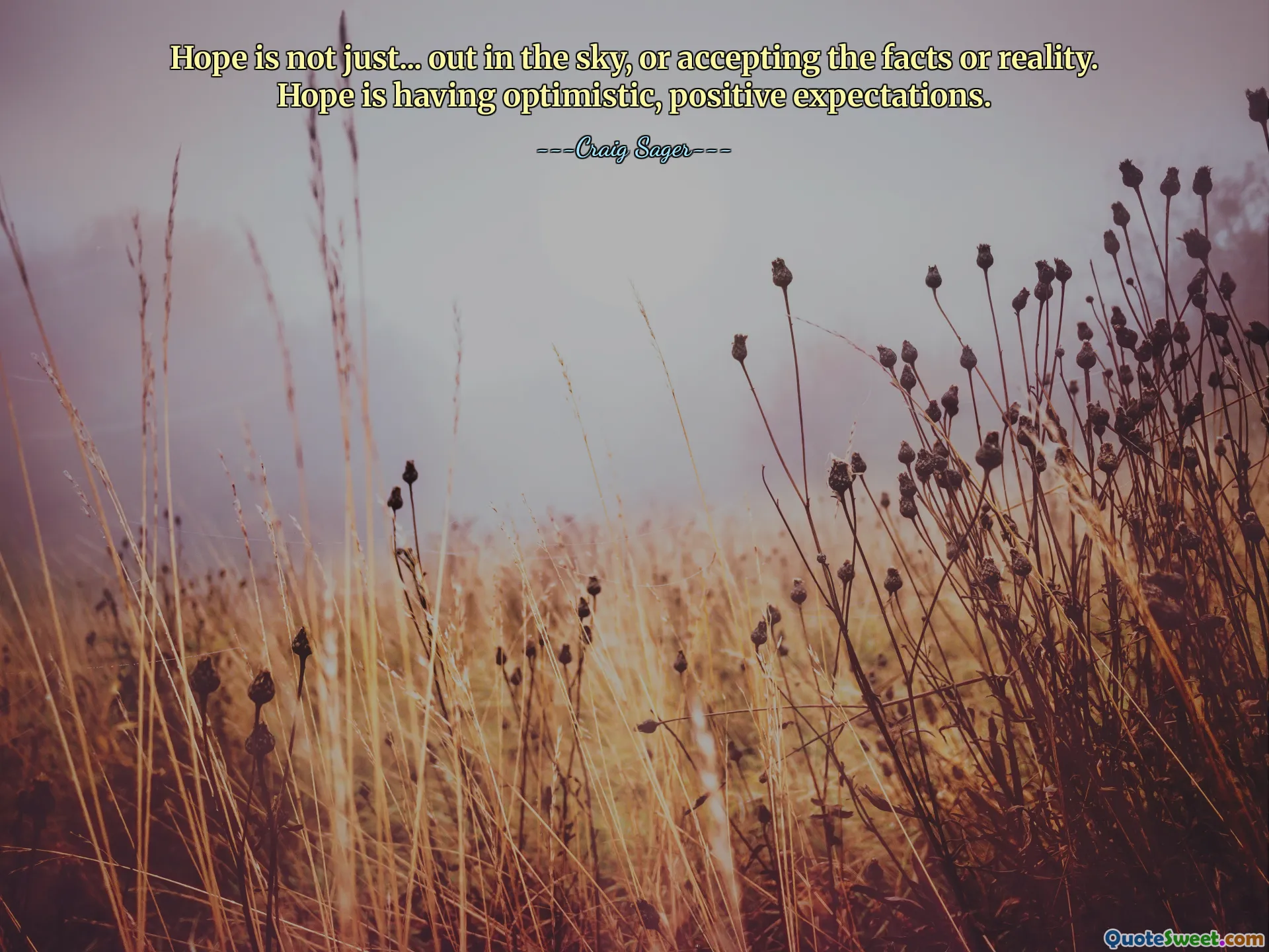 Надежда – это не просто... полет в небо или принятие фактов или реальности. Надежда – это оптимистичные, позитивные ожидания.