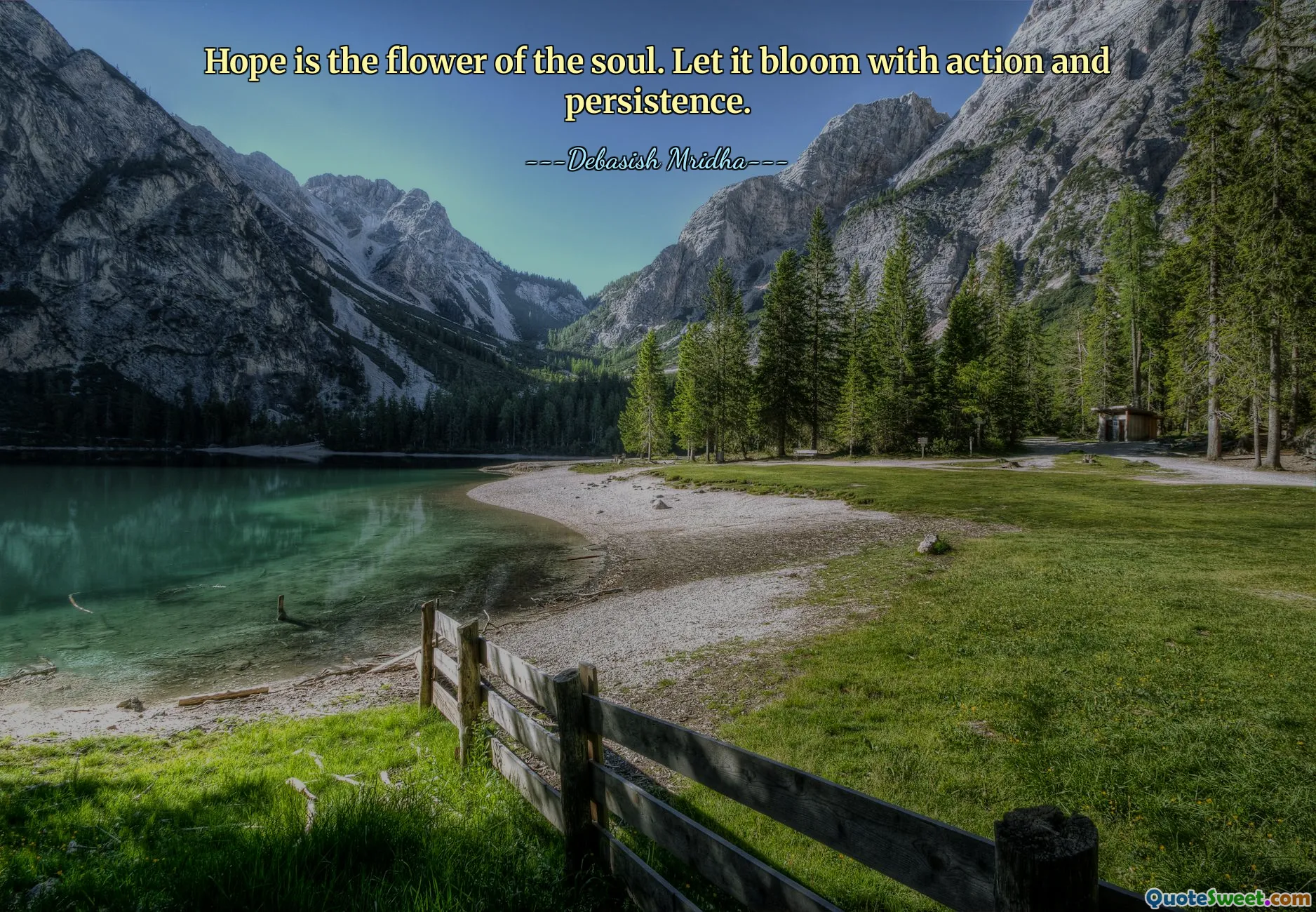 Hope is the flower of the soul. Let it bloom with action and persistence.