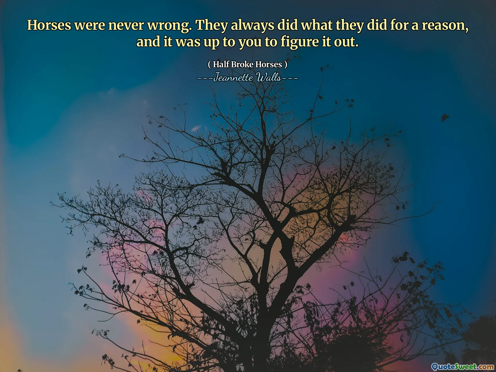 馬は決して間違っていませんでした。彼らは常に彼らが理由でやったことをしました、そして、それを理解するのはあなた次第でした。