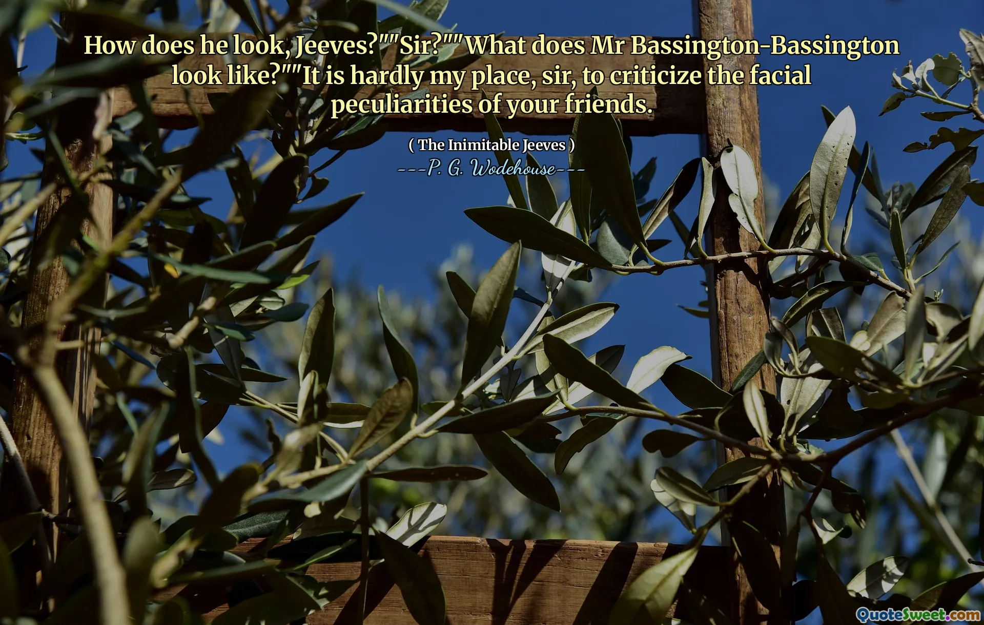 How does he look, Jeeves?""Sir?""What does Mr Bassington-Bassington look like?""It is hardly my place, sir, to criticize the facial peculiarities of your friends.