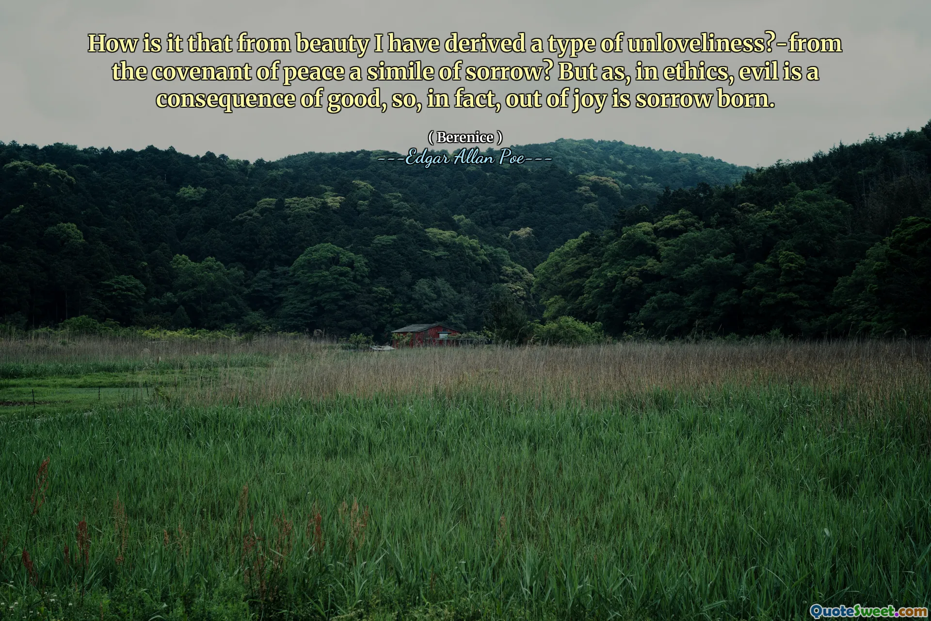 How is it that from beauty I have derived a type of unloveliness?-from the covenant of peace a simile of sorrow? But as, in ethics, evil is a consequence of good, so, in fact, out of joy is sorrow born.