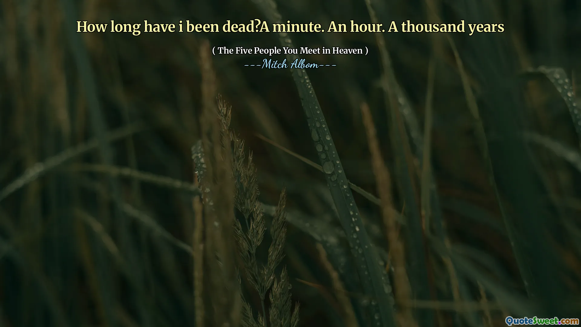 我死了多久了？一分钟。一个小时。一万年