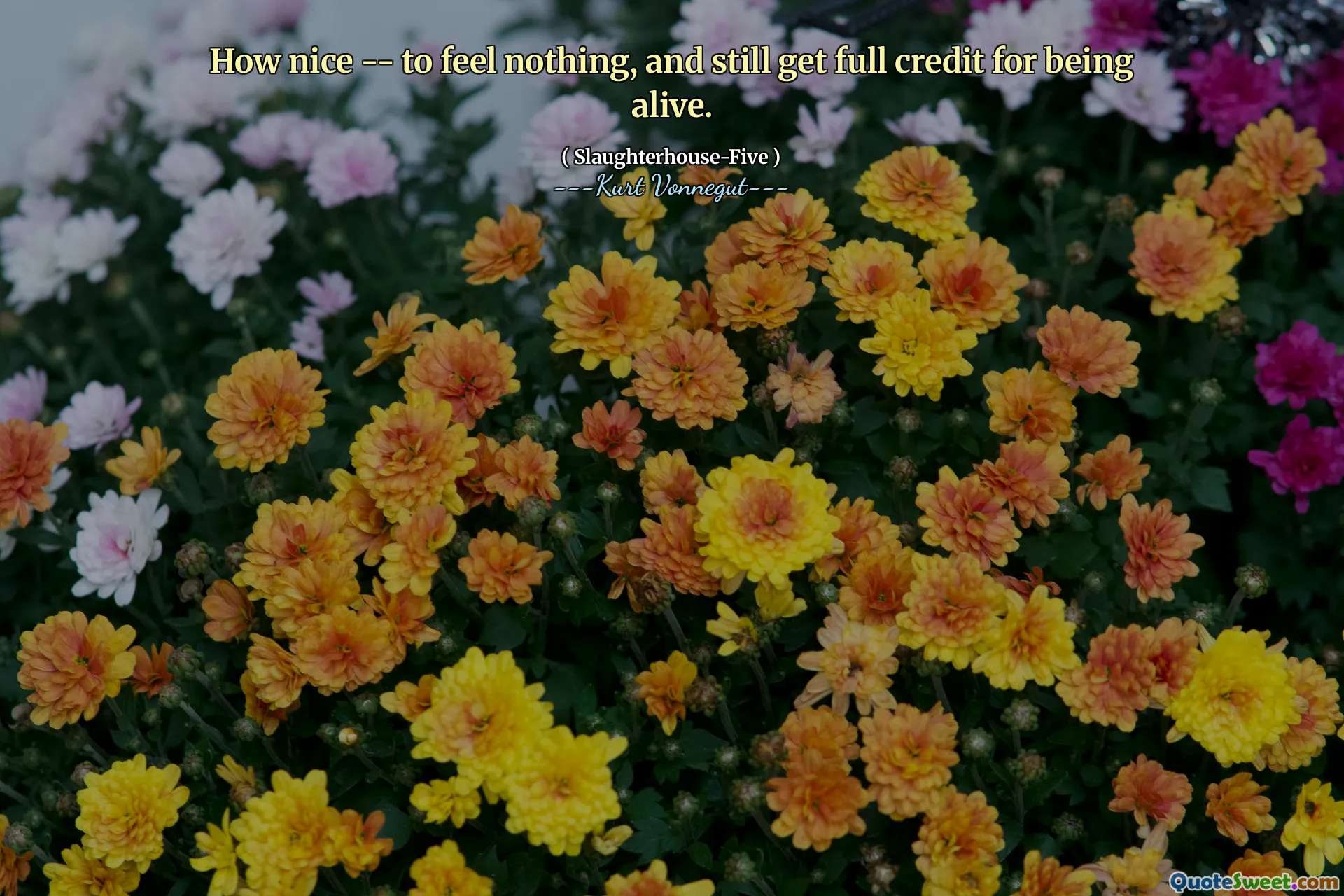 なんて素敵なこと - 何も感じず、生きていることを完全に称賛すること。