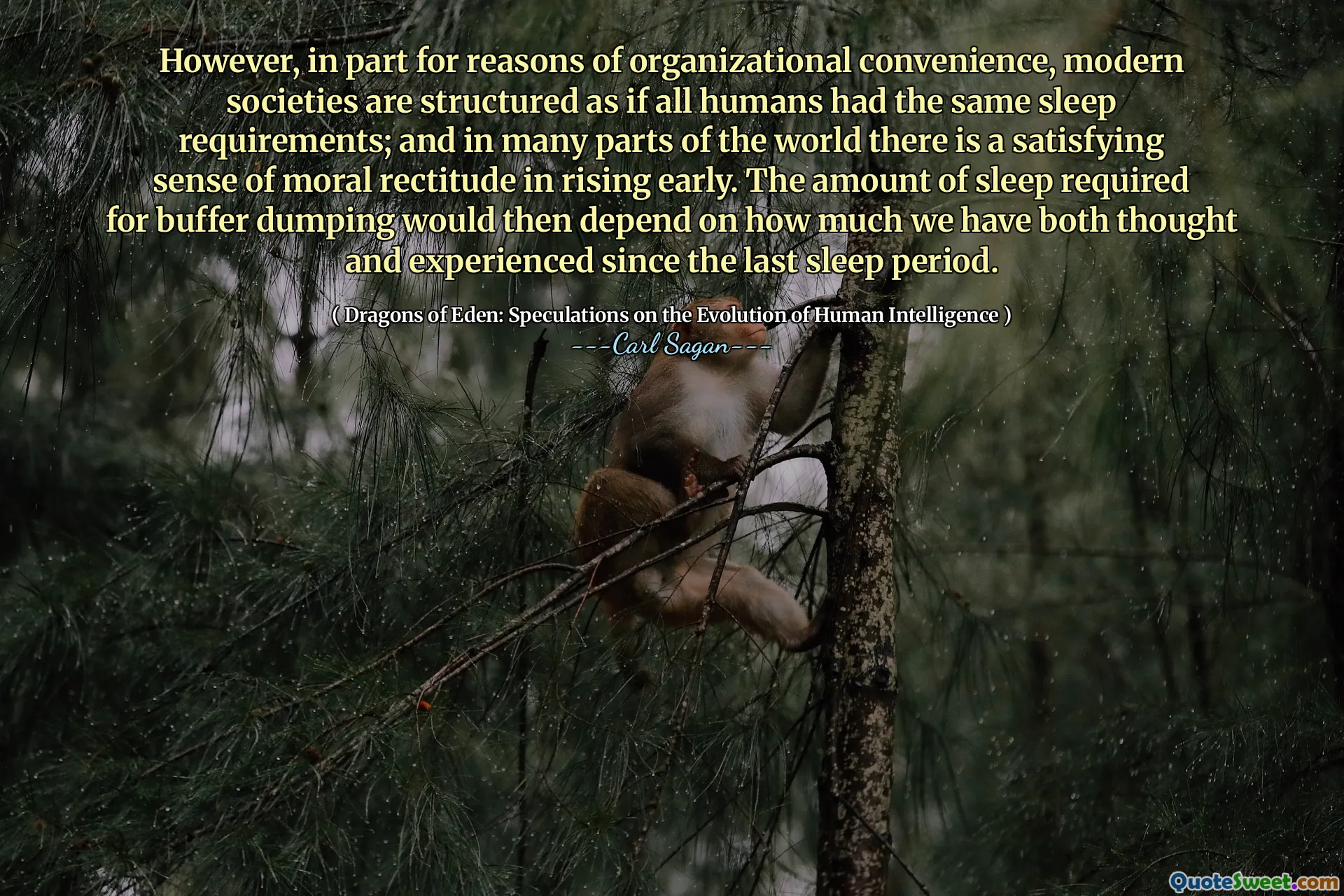 However, in part for reasons of organizational convenience, modern societies are structured as if all humans had the same sleep requirements; and in many parts of the world there is a satisfying sense of moral rectitude in rising early. The amount of sleep required for buffer dumping would then depend on how much we have both thought and experienced since the last sleep period.