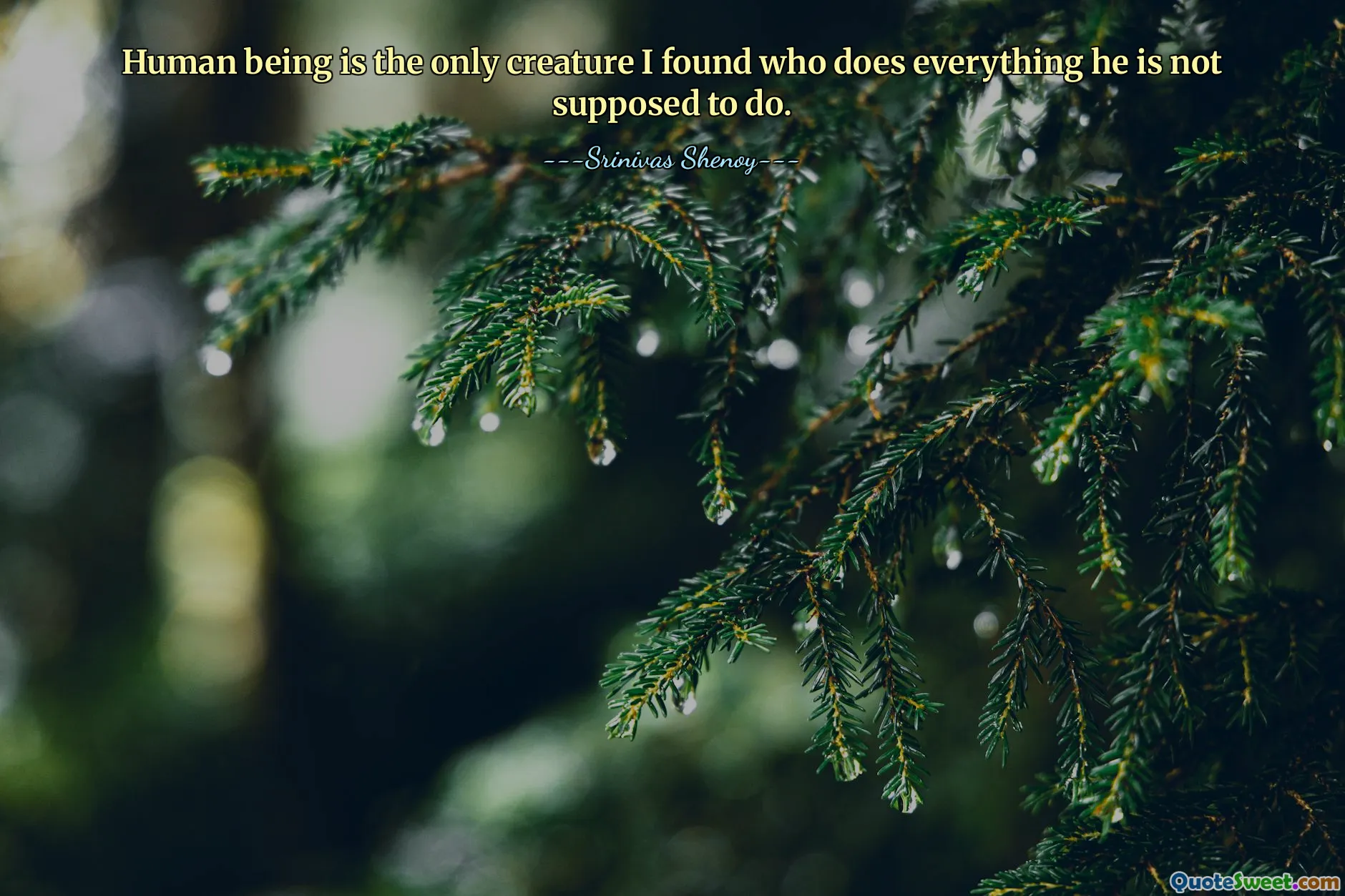 Human being is the only creature I found who does everything he is not supposed to do.