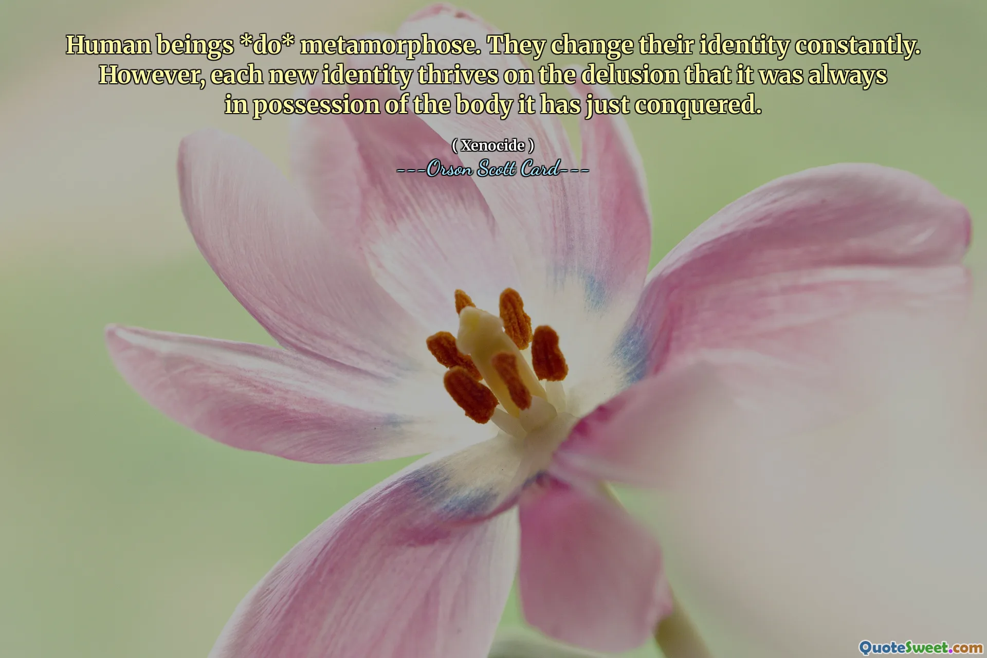 Human beings *do* metamorphose. They change their identity constantly. However, each new identity thrives on the delusion that it was always in possession of the body it has just conquered.