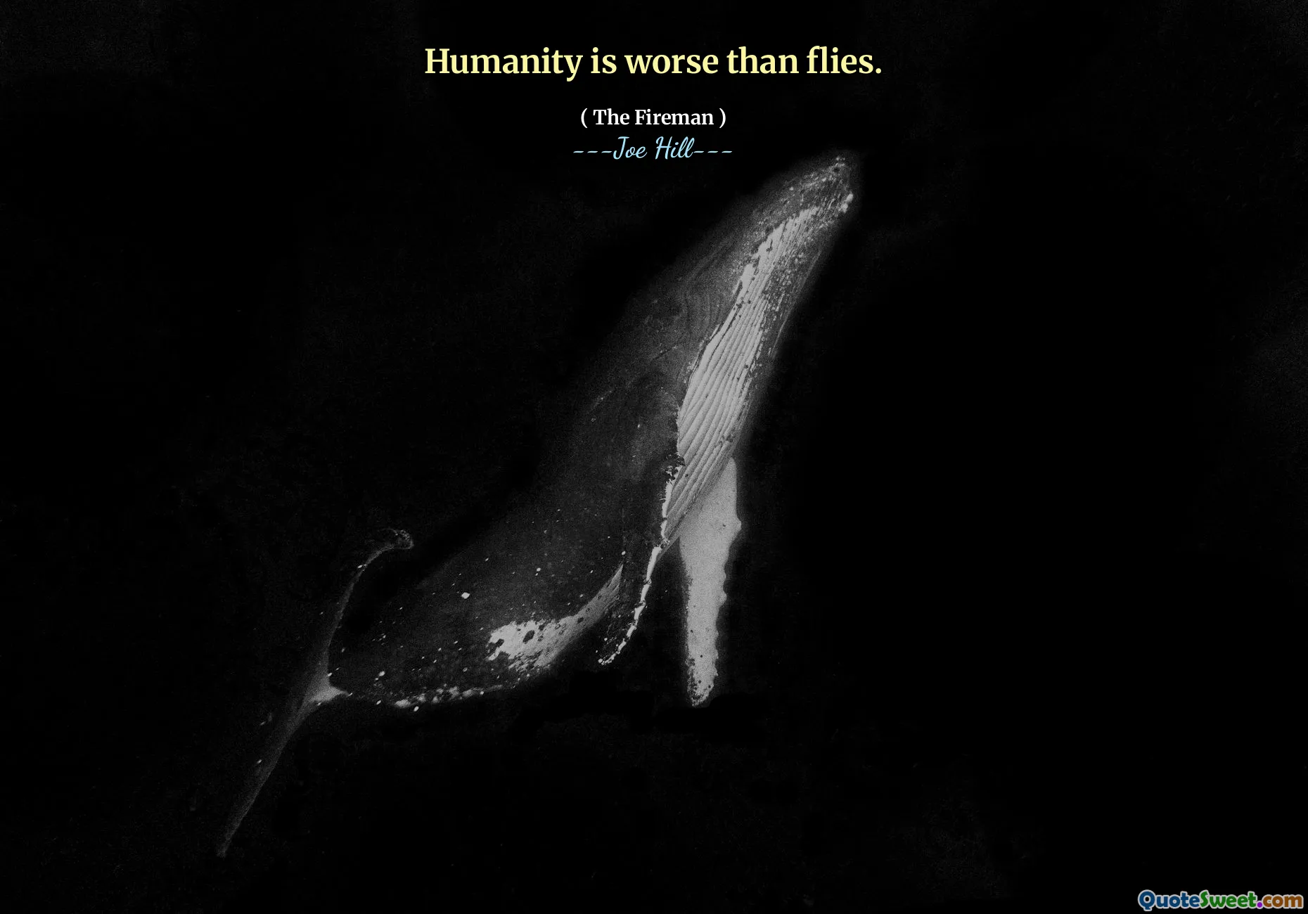 Humanity is worse than flies.