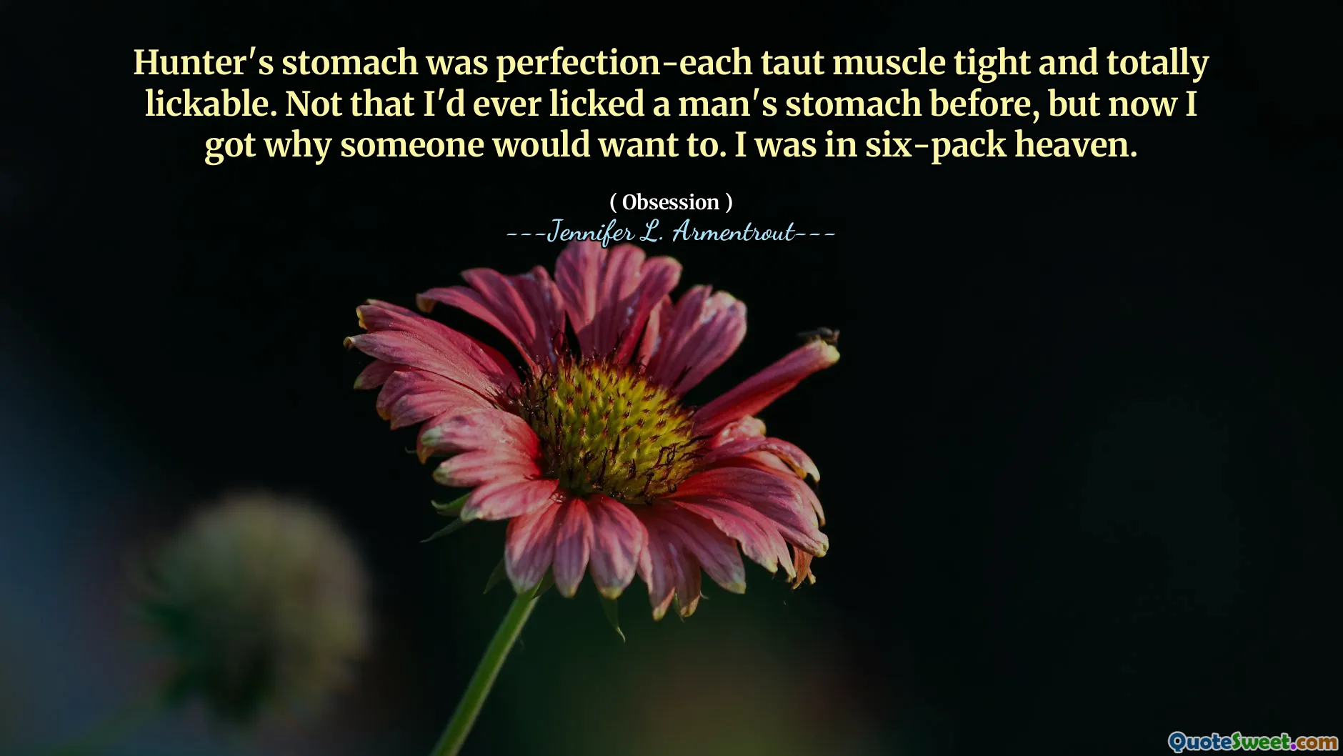 Hunter's stomach was perfection-each taut muscle tight and totally lickable. Not that I'd ever licked a man's stomach before, but now I got why someone would want to. I was in six-pack heaven.