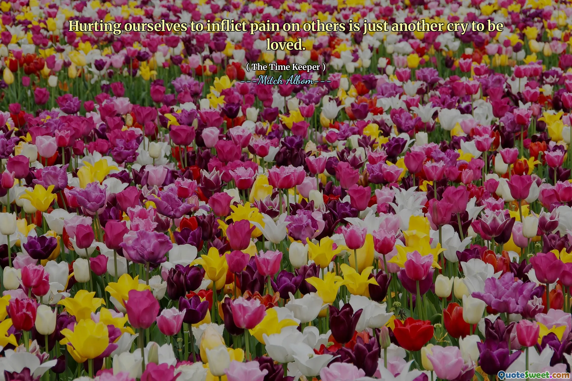 Fai del male a noi stessi per infliggere dolore agli altri è solo un altro grido da amare.