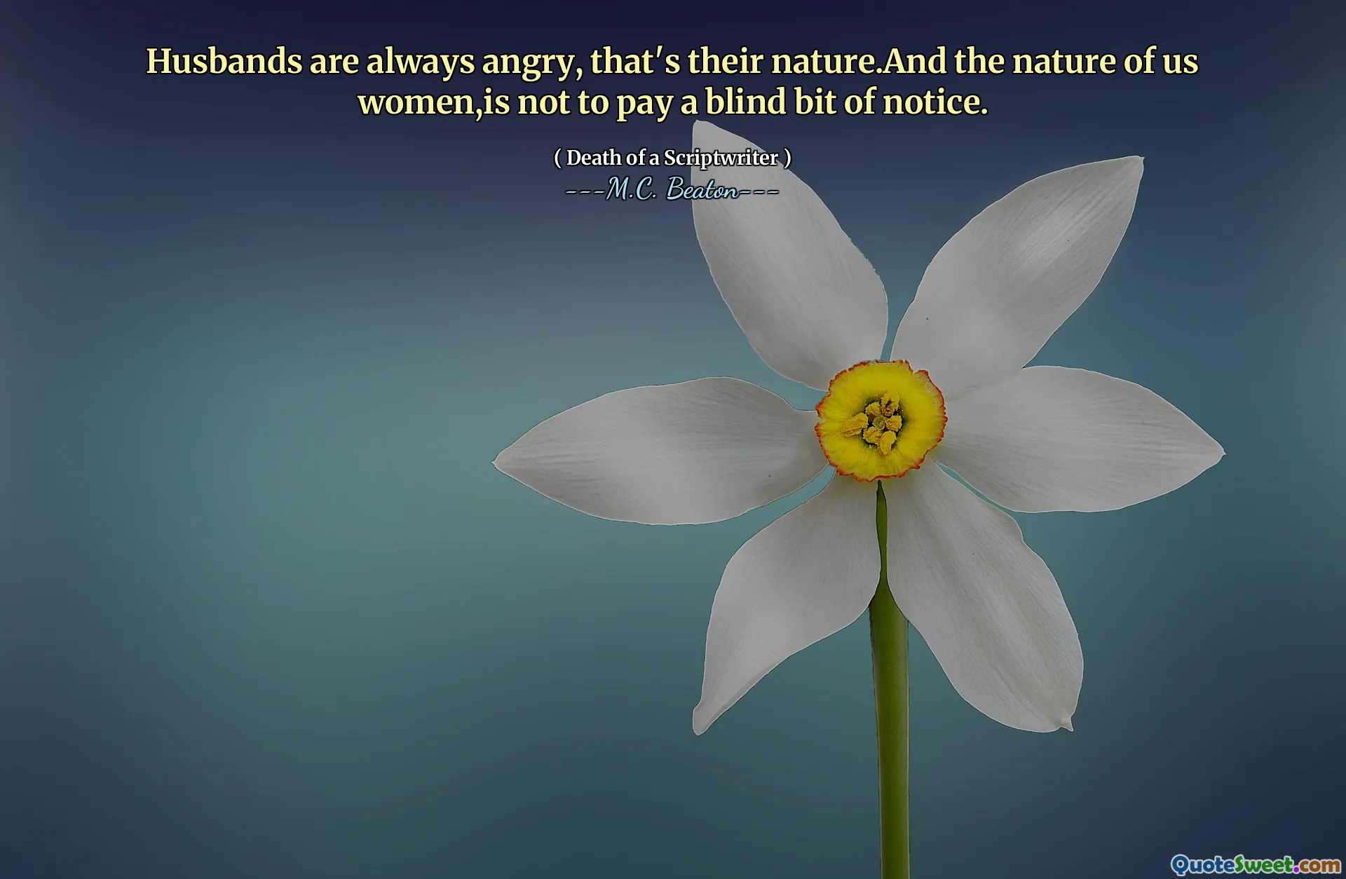 Husbands are always angry, that's their nature.And the nature of us women,is not to pay a blind bit of notice.
