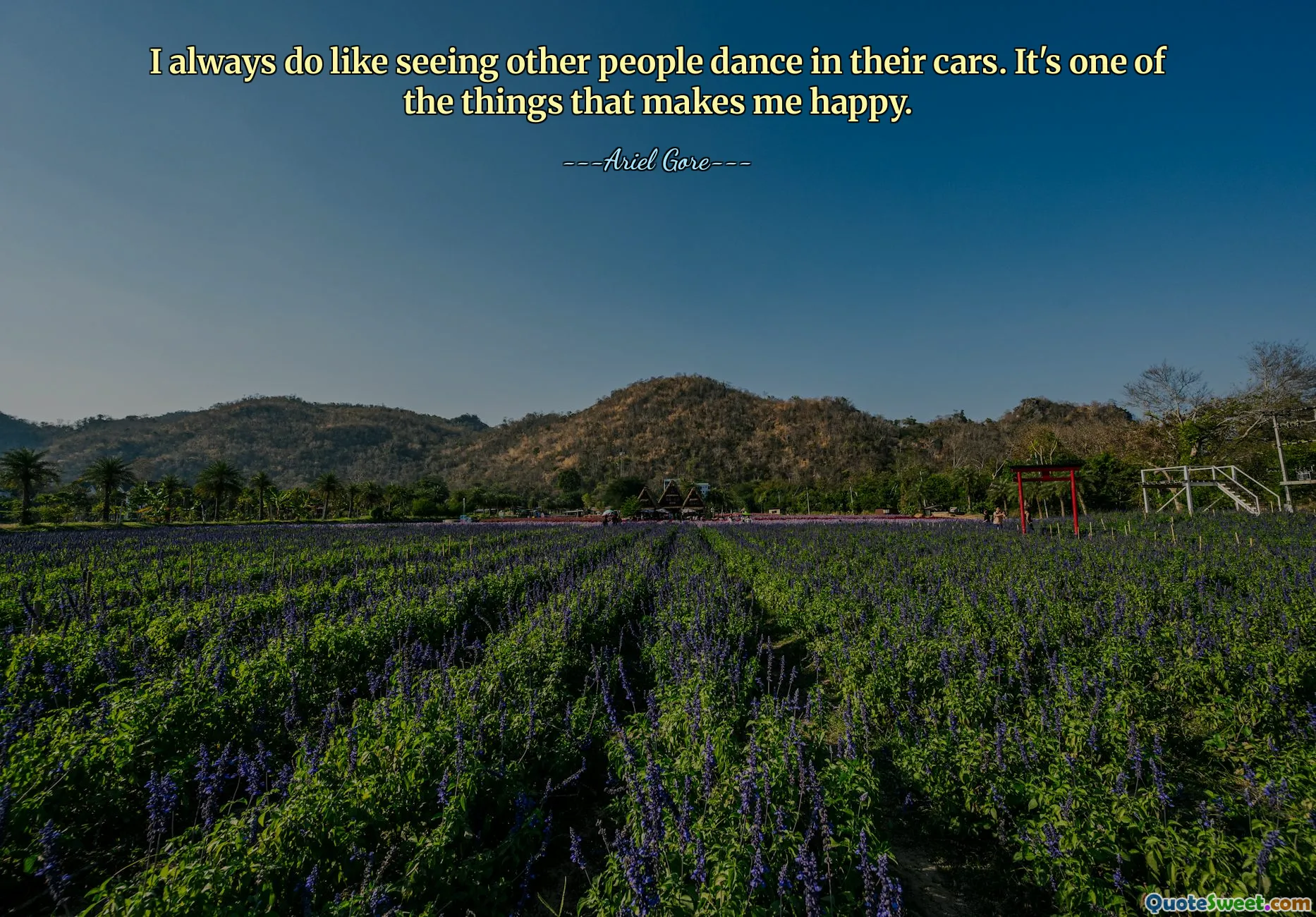I always do like seeing other people dance in their cars. It's one of the things that makes me happy.