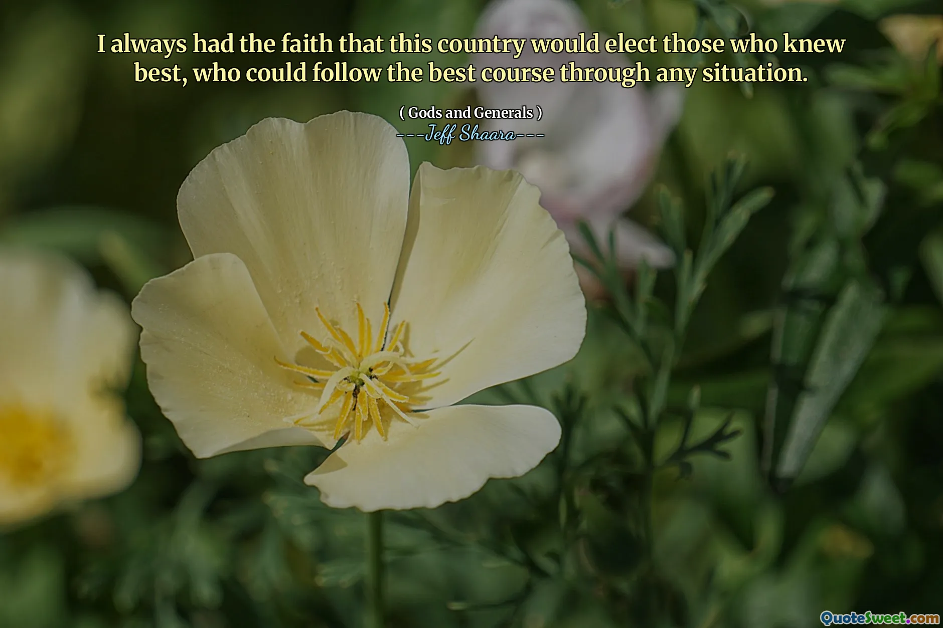 I always had the faith that this country would elect those who knew best, who could follow the best course through any situation.