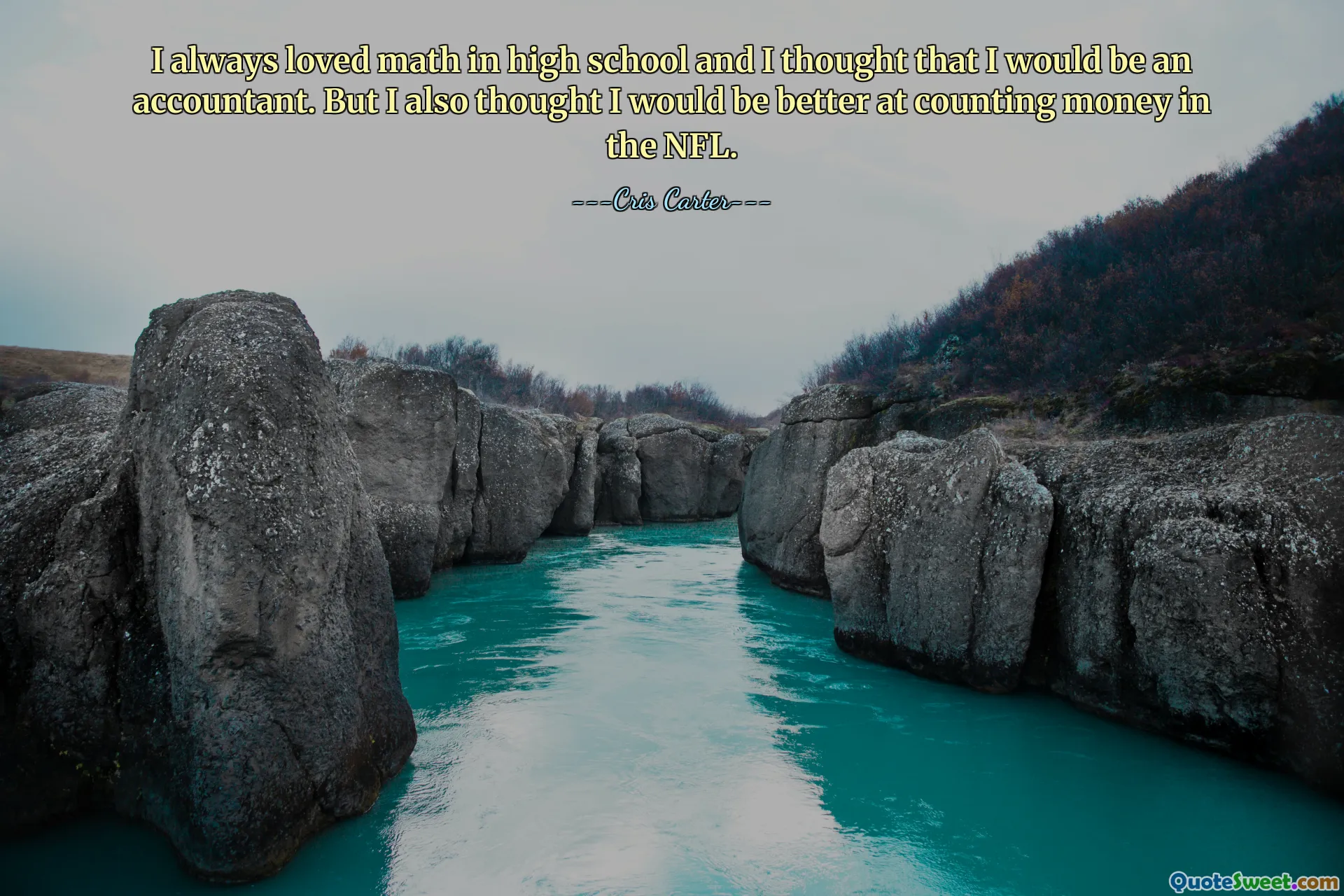 I always loved math in high school and I thought that I would be an accountant. But I also thought I would be better at counting money in the NFL.