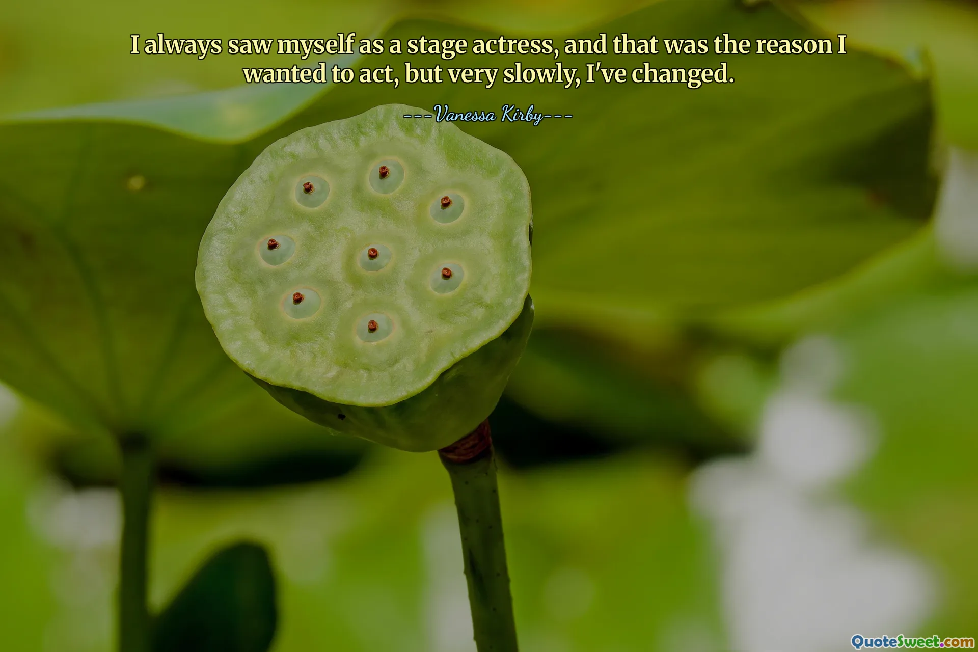 Vždycky jsem se viděla jako divadelní herečka, a to byl důvod, proč jsem chtěla hrát, ale velmi pomalu jsem se změnila.