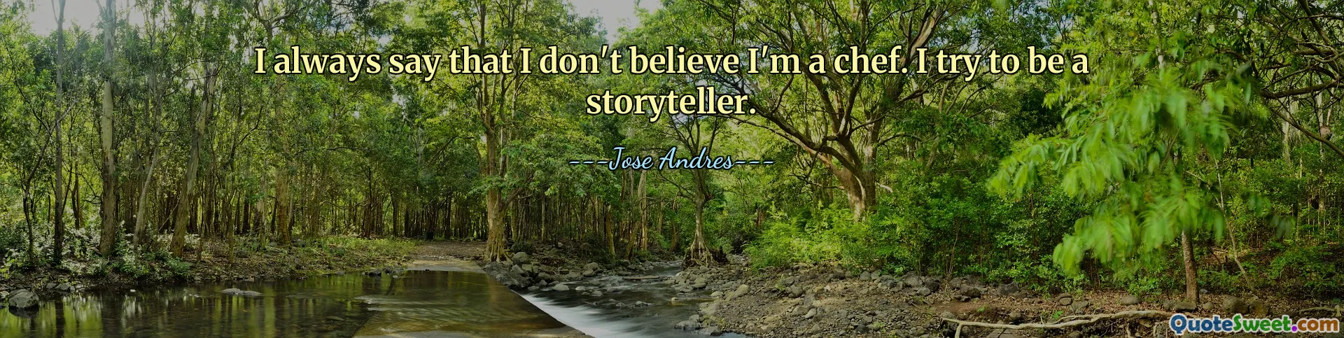 私はいつも自分がシェフであるとは信じられないと言います。私はストーリーテラーになろうとしています。