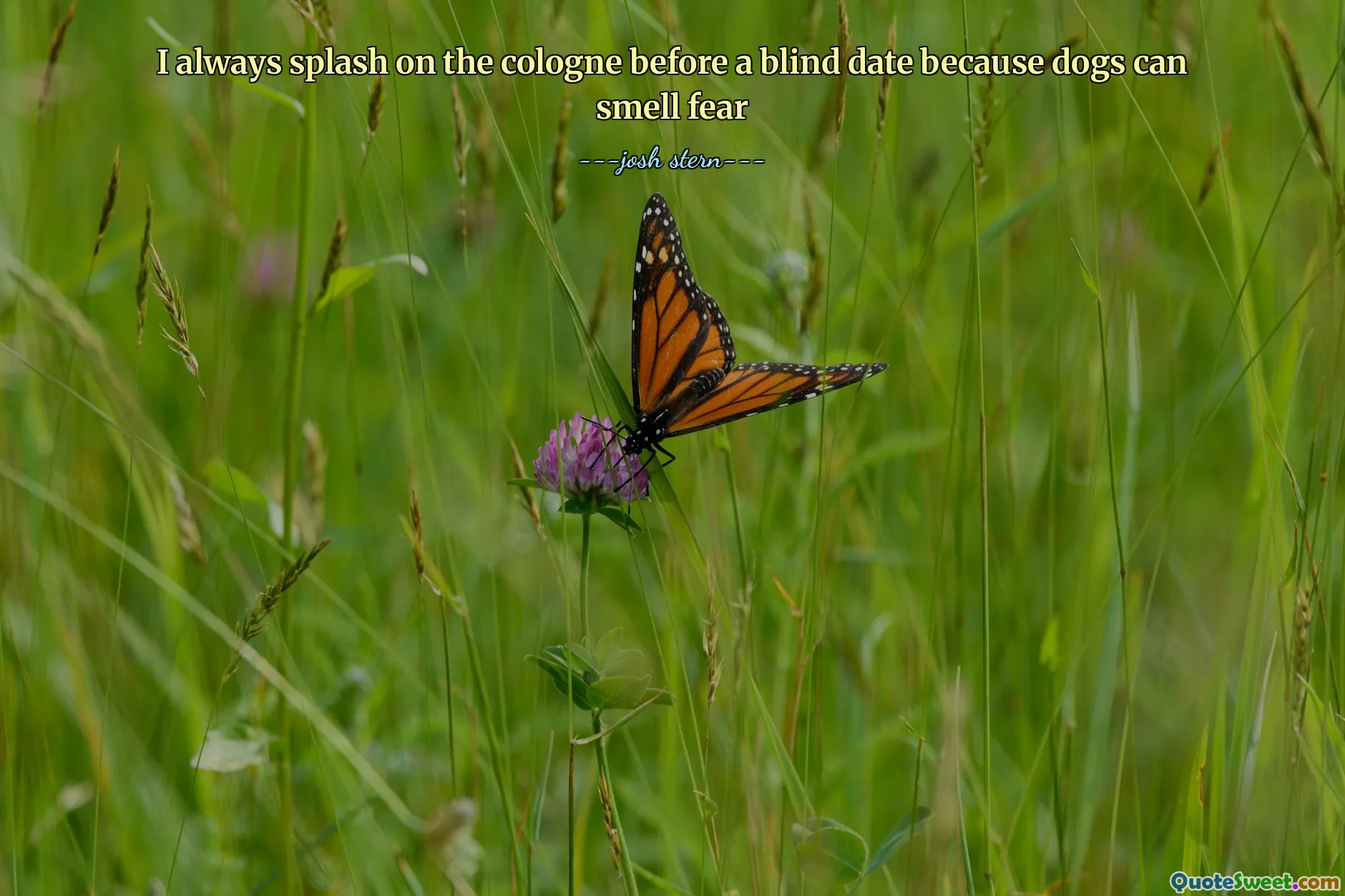 I always splash on the cologne before a blind date because dogs can smell fear