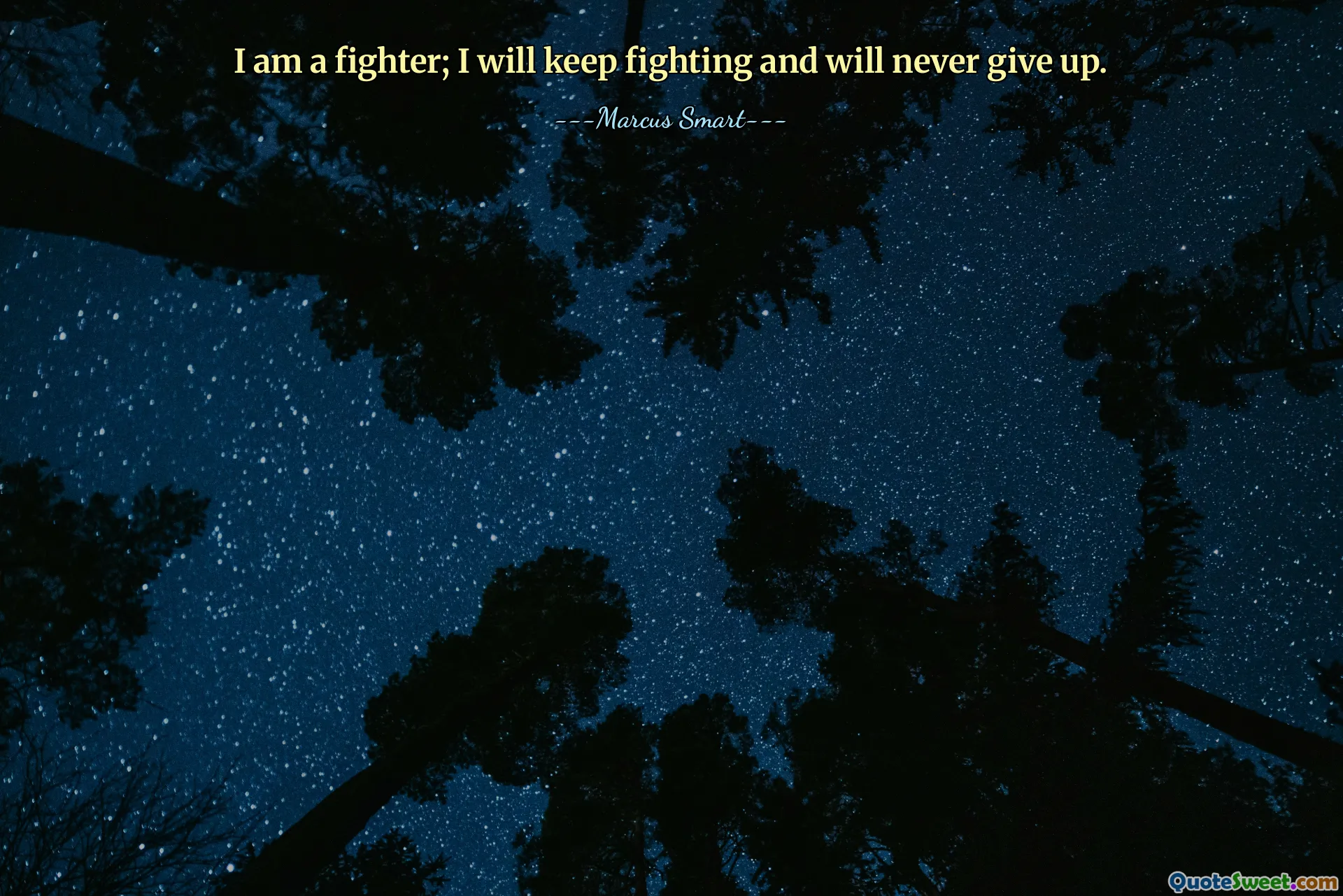 Tôi là một chiến binh; Tôi sẽ tiếp tục chiến đấu và sẽ không bao giờ bỏ cuộc.