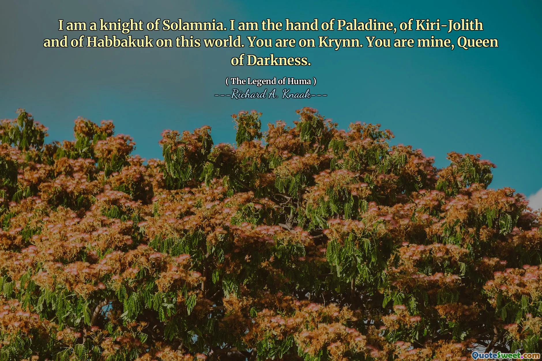 I am a knight of Solamnia. I am the hand of Paladine, of Kiri-Jolith and of Habbakuk on this world. You are on Krynn. You are mine, Queen of Darkness.