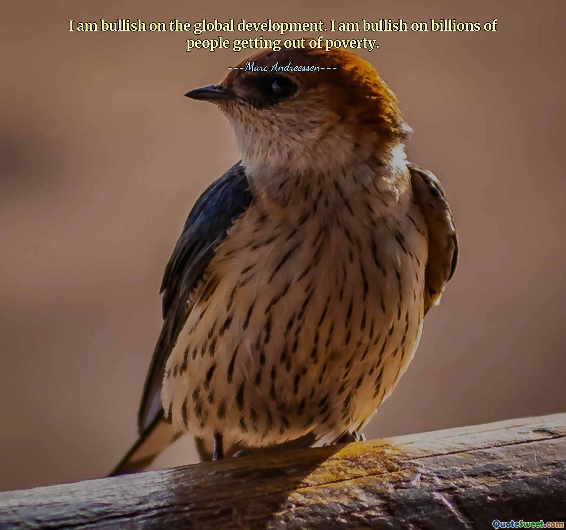 I am bullish on the global development. I am bullish on billions of people getting out of poverty.