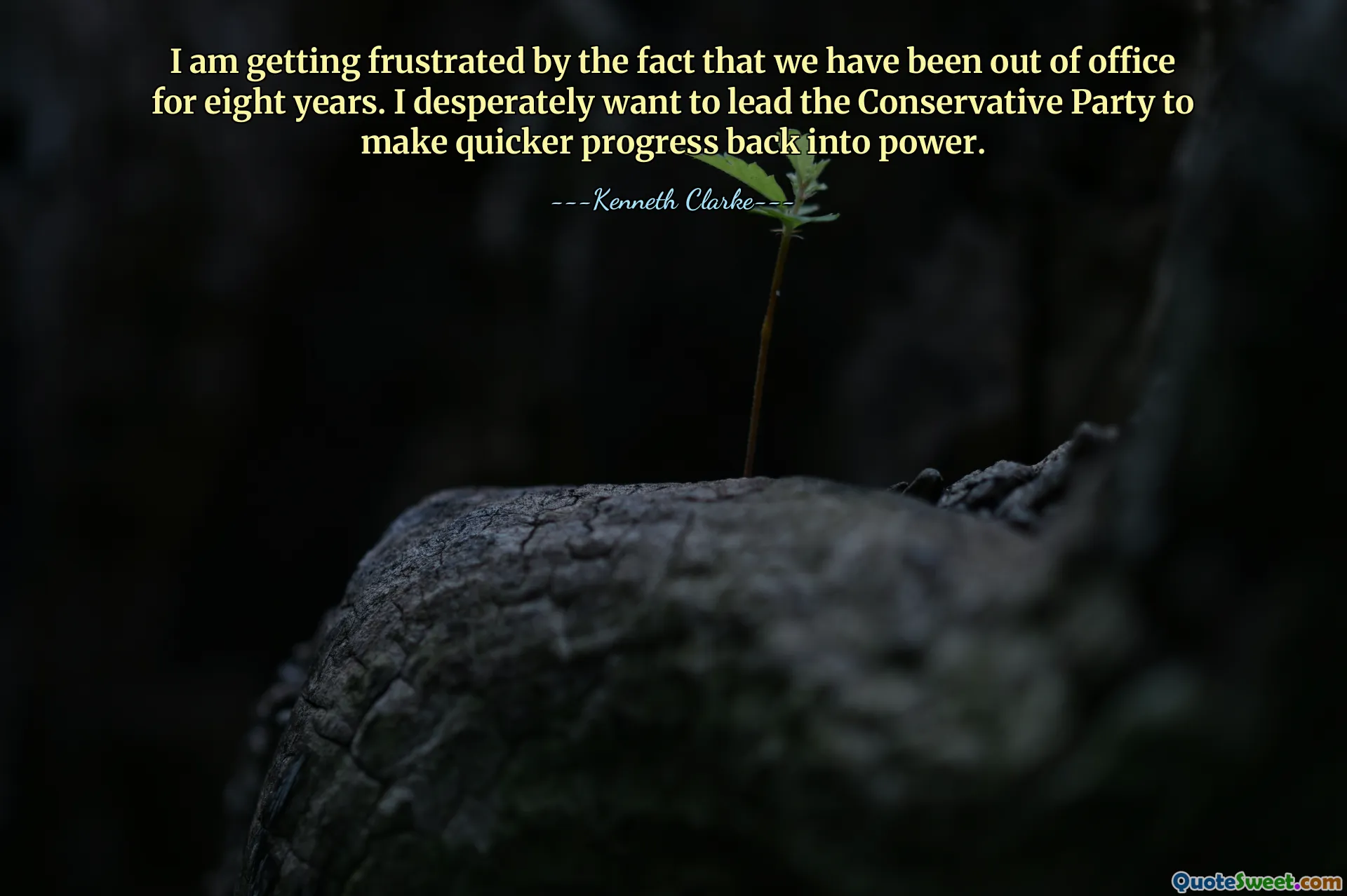 I am getting frustrated by the fact that we have been out of office for eight years. I desperately want to lead the Conservative Party to make quicker progress back into power.