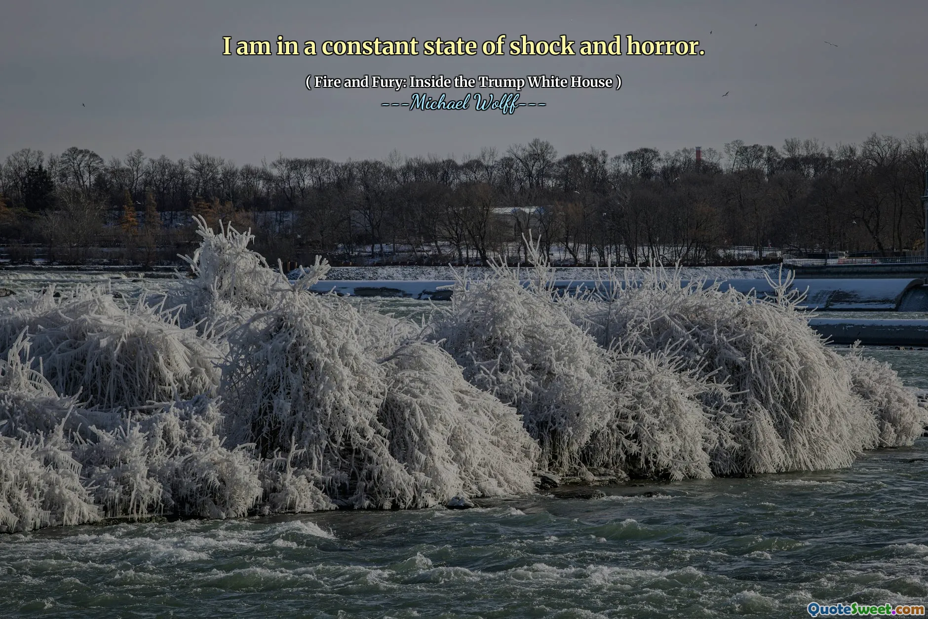 I am in a constant state of shock and horror.