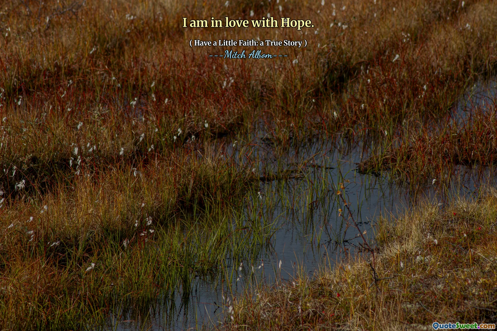 I am in love with Hope.