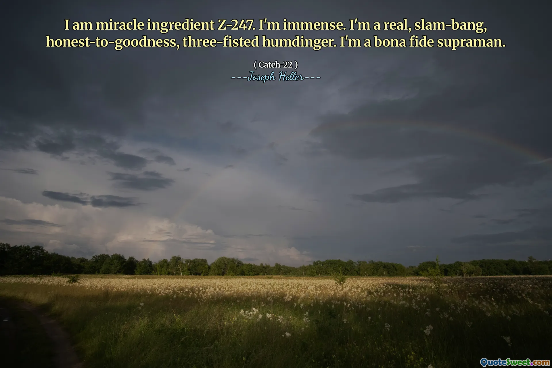 Jeg er mirakelingrediens Z-247. Jeg er enorm. Jeg er en ekte, slam-bang, ærlig-til-godhet, tre-fisted humdinger. Jeg er en bona fide supraman.