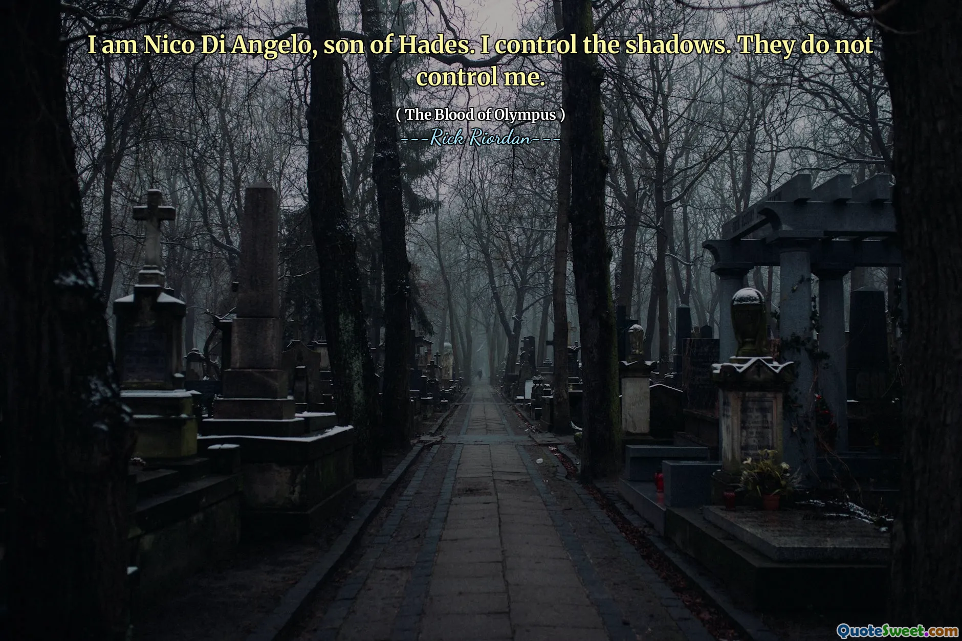 I am Nico Di Angelo, son of Hades. I control the shadows. They do not control me.