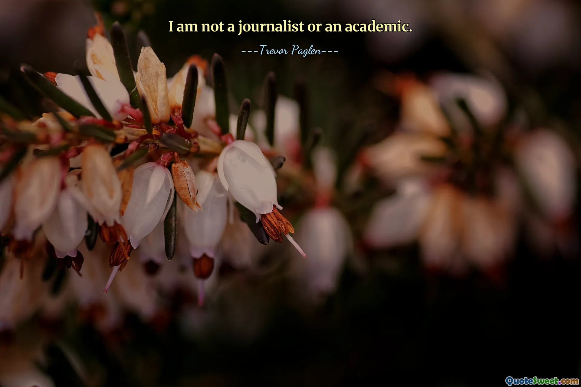 I am not a journalist or an academic.