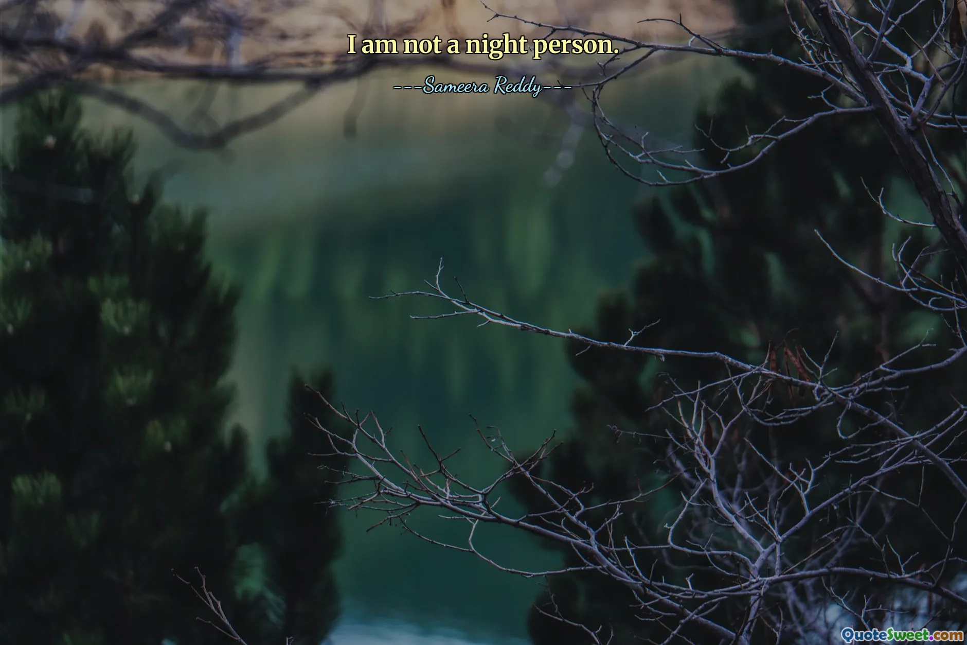 I am not a night person.