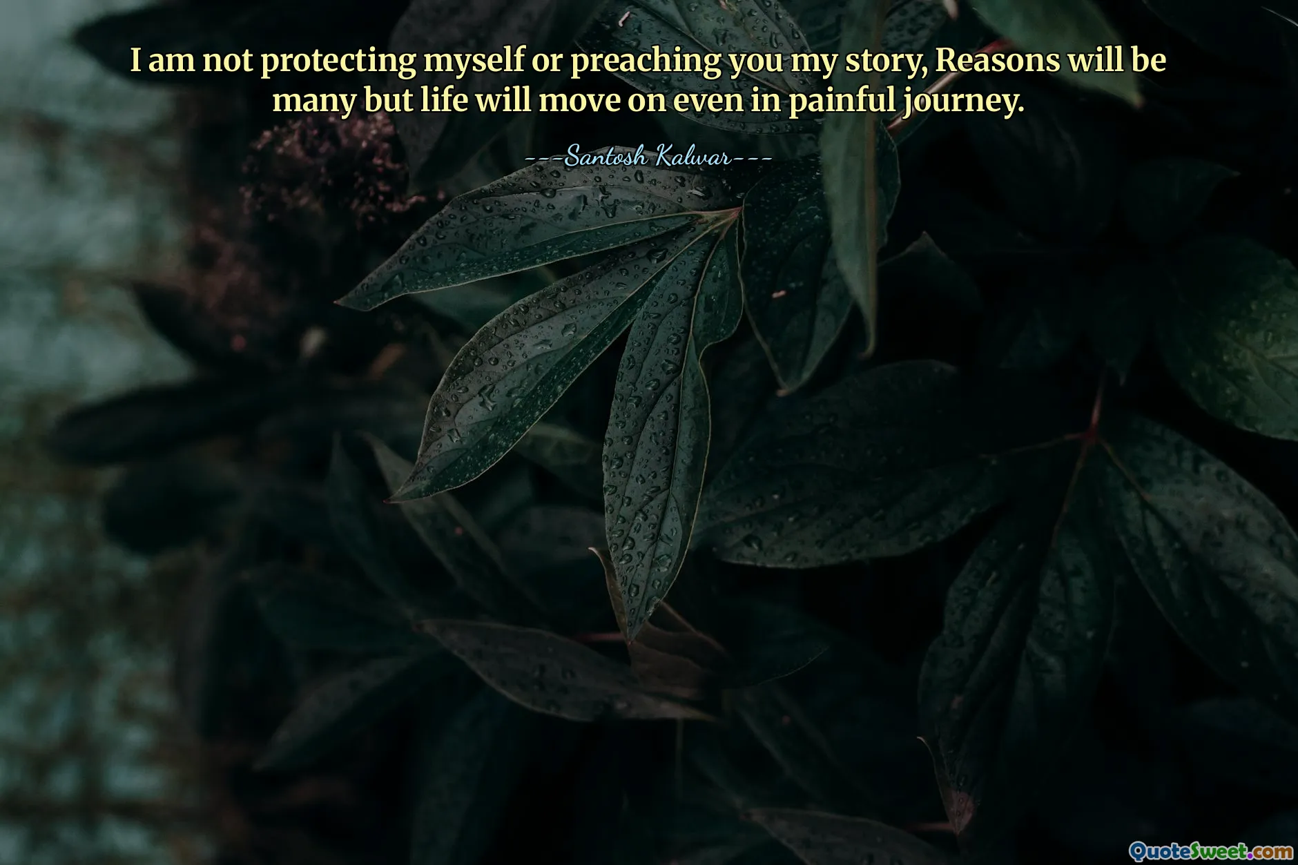 I am not protecting myself or preaching you my story, Reasons will be many but life will move on even in painful journey.